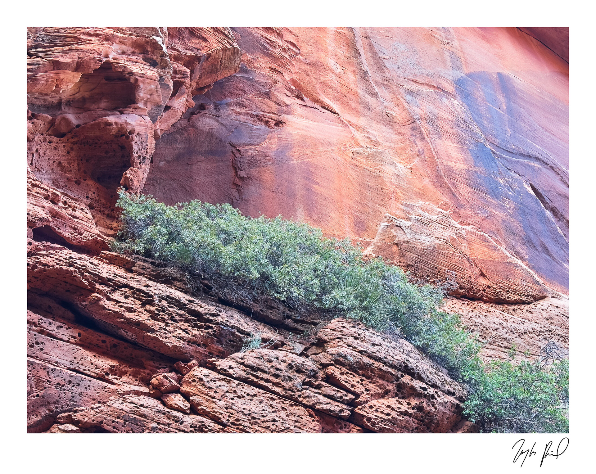 Canyon scene between raps. Southwest UT.