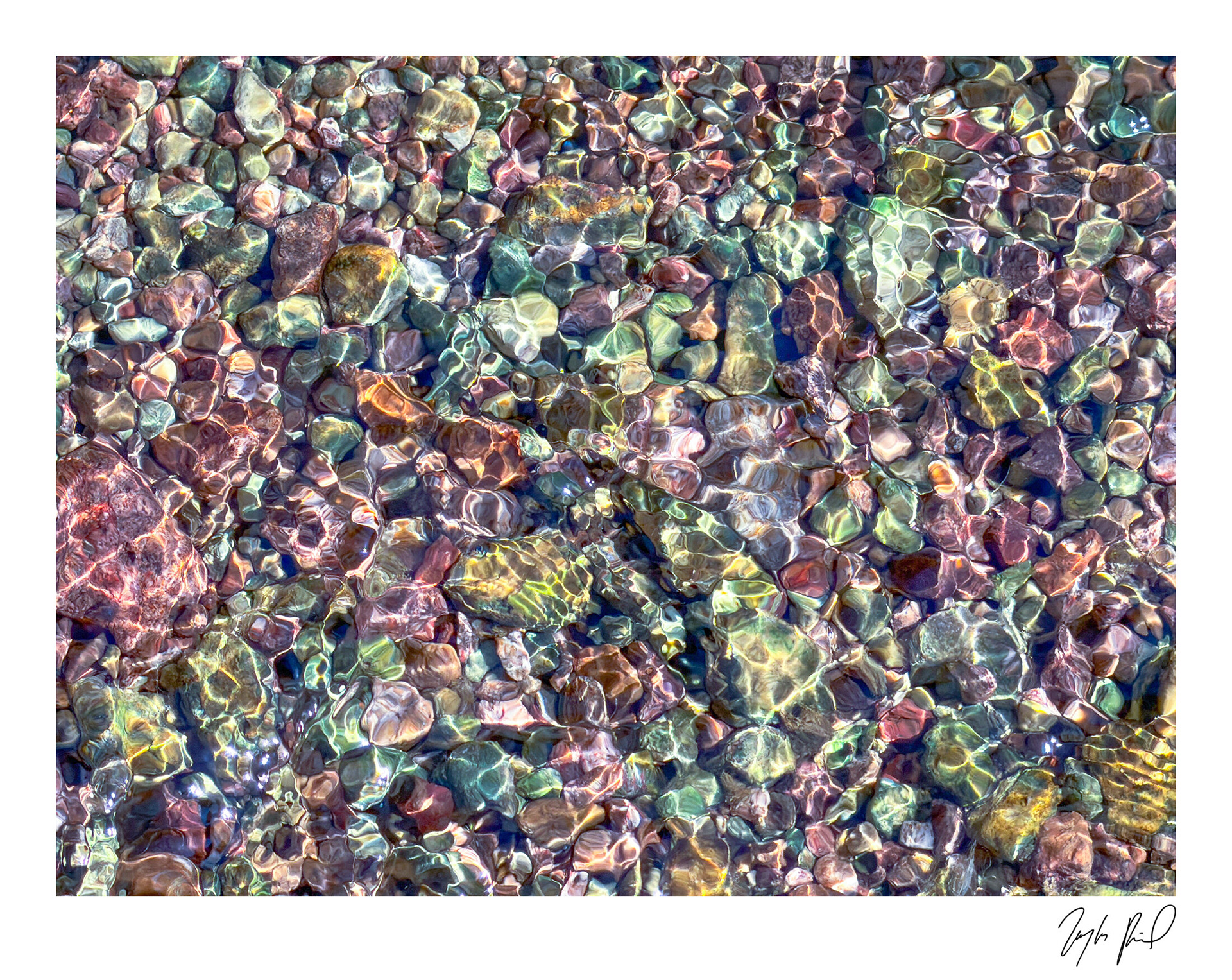 Jucies. Lake Mead National Rec Area, NV.