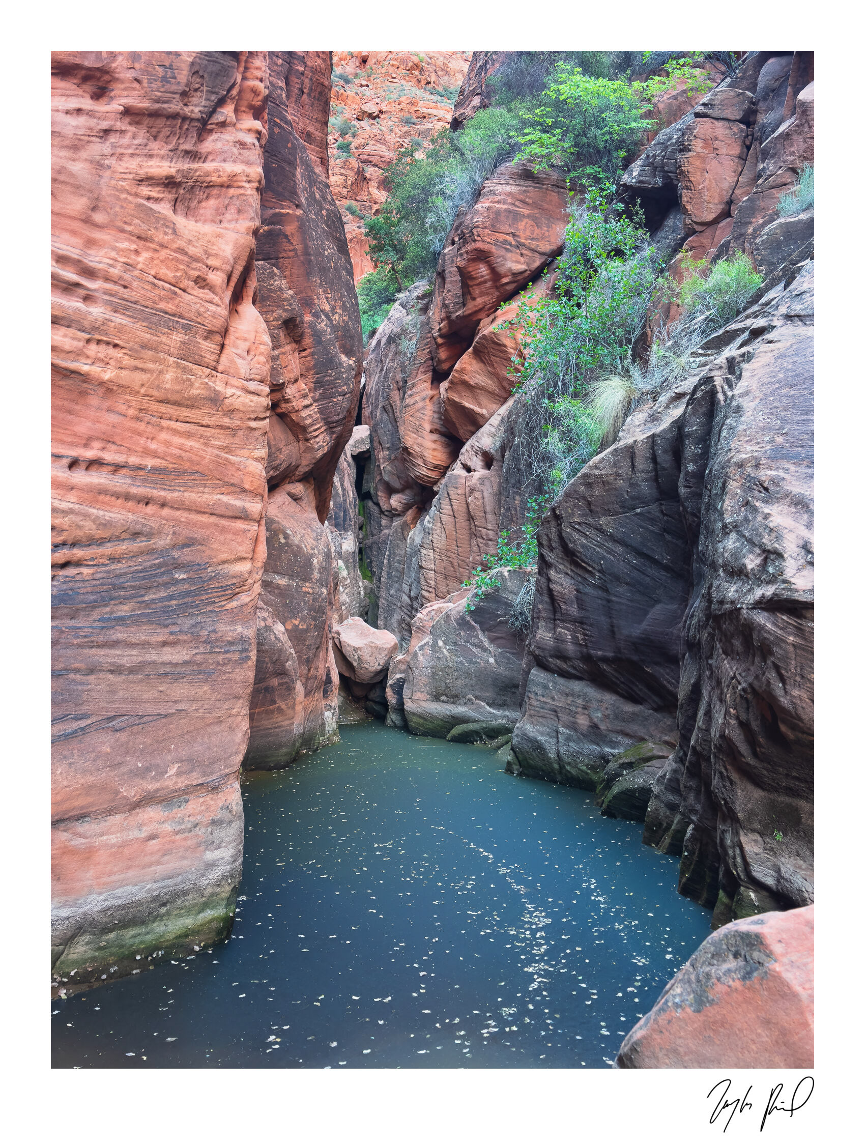Matte canyon. Southwest UT.