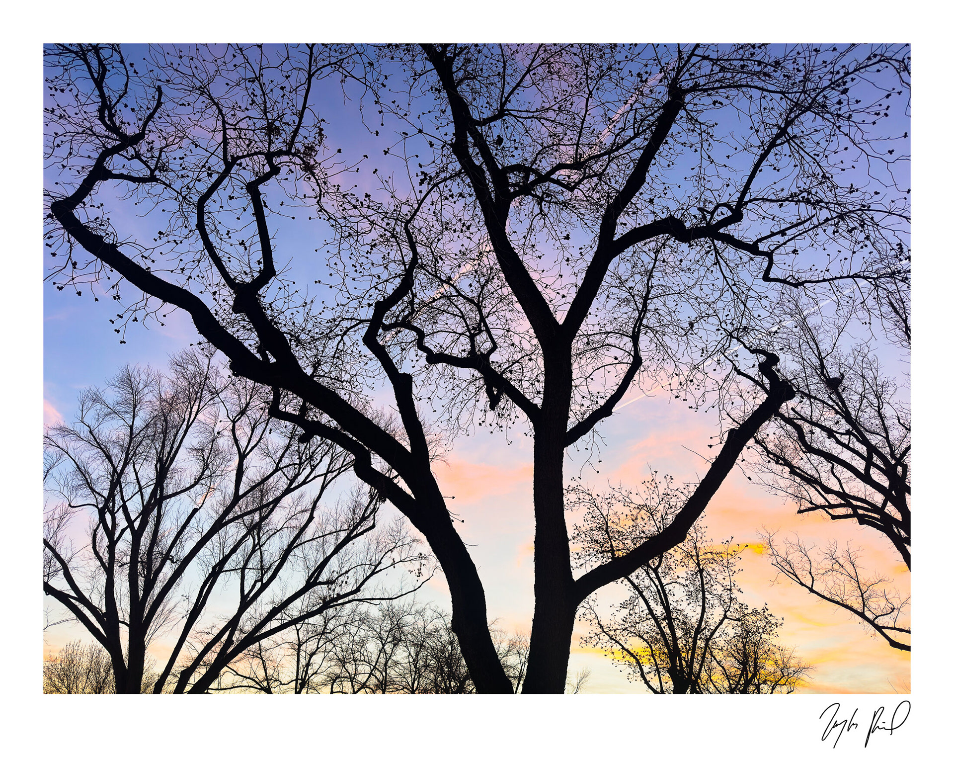 Sunset silhouettes. Southwest UT.