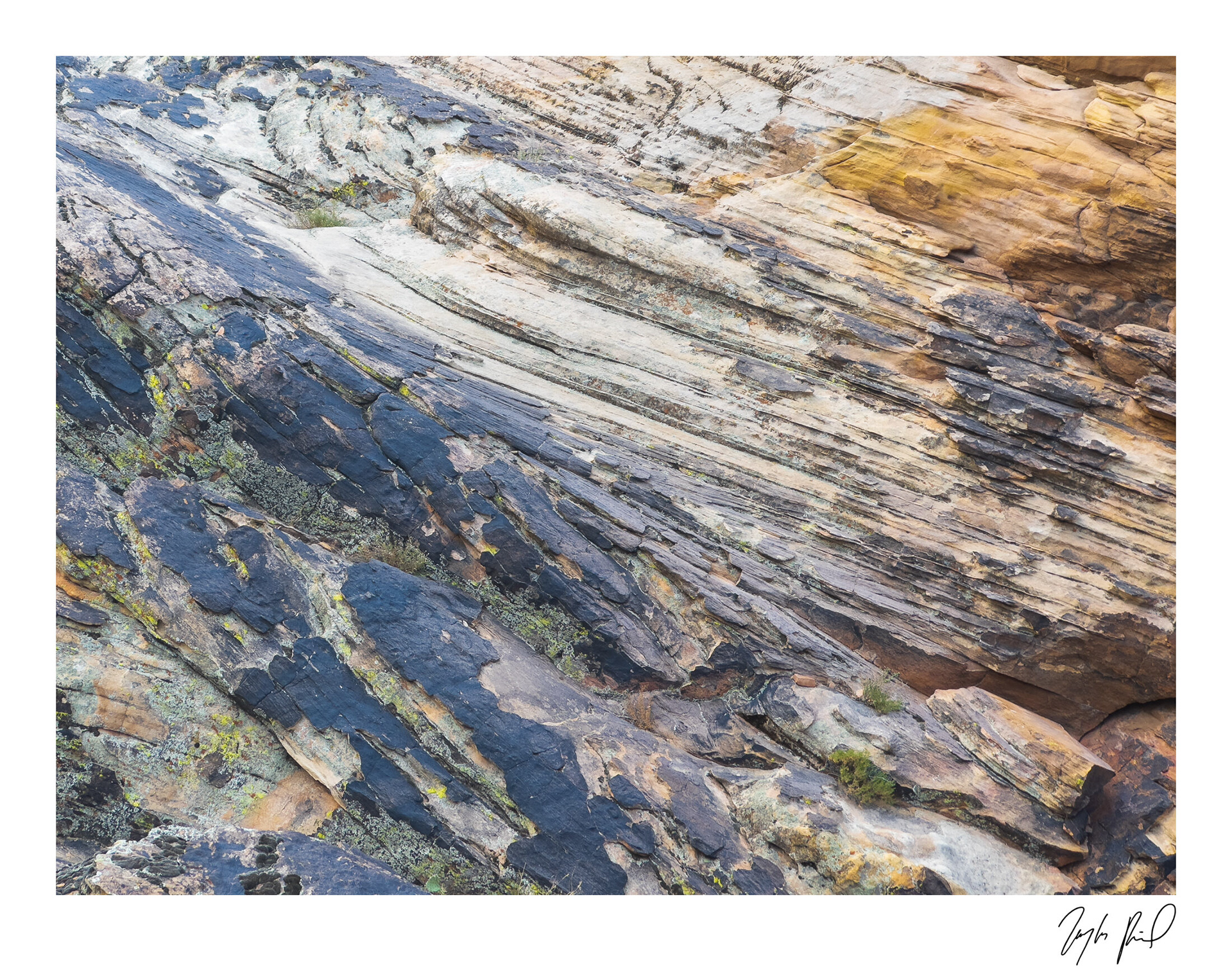 Prophecy. Southwest UT.