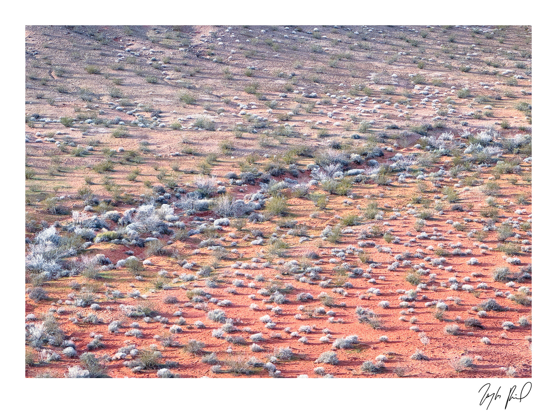 Earthen rainbow. Southeast NV.