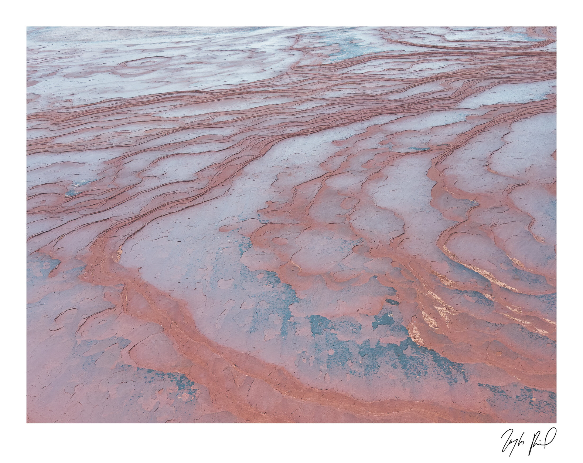 Sheen and shine. Zion National Park, UT.