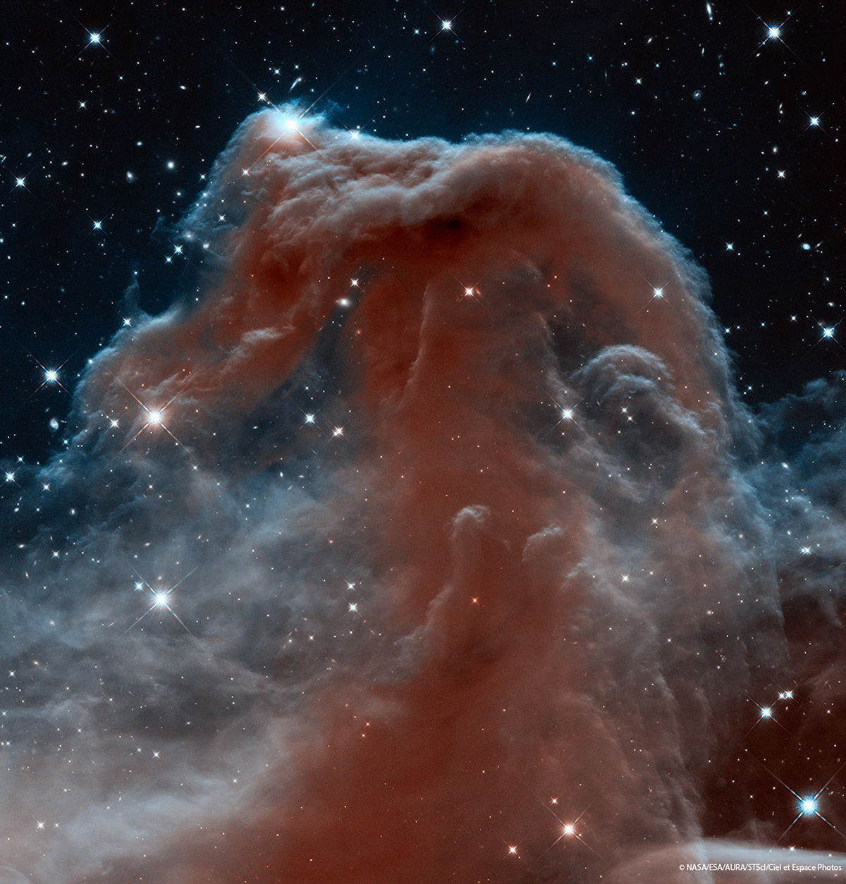 New infrared view of the Horsehead Nebula — Hubble’s 23rd anniversary image