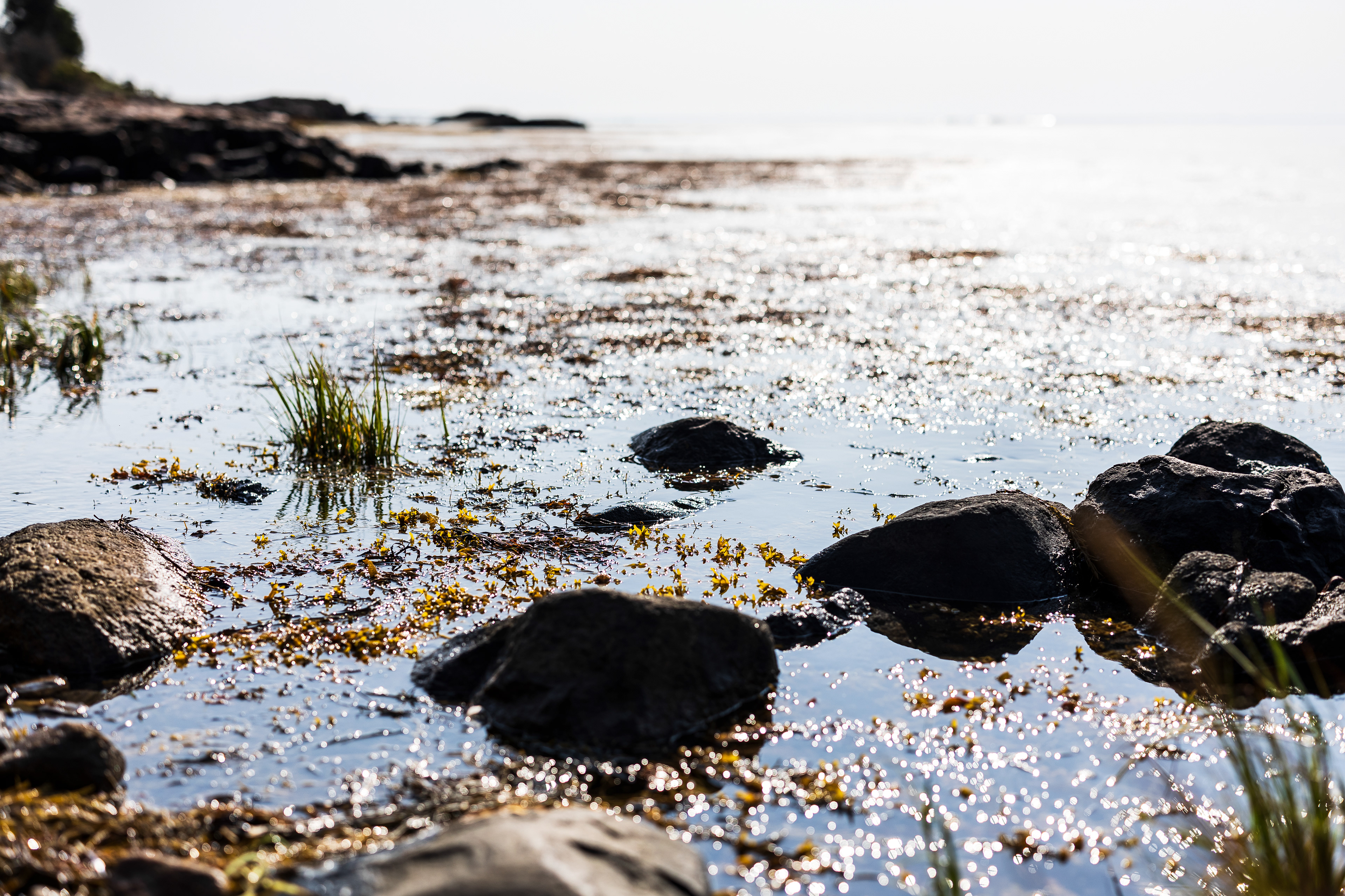 09.15.24 // McGee Island, ME