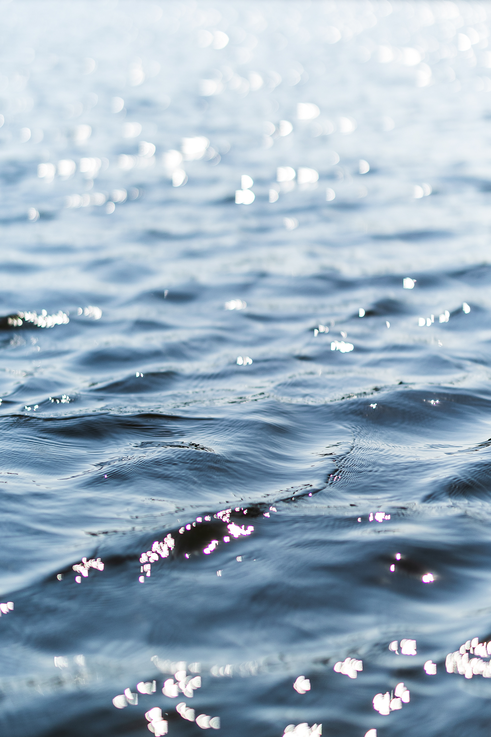 07.21.24 // Cape Cod salt marsh // West Harwich, MA