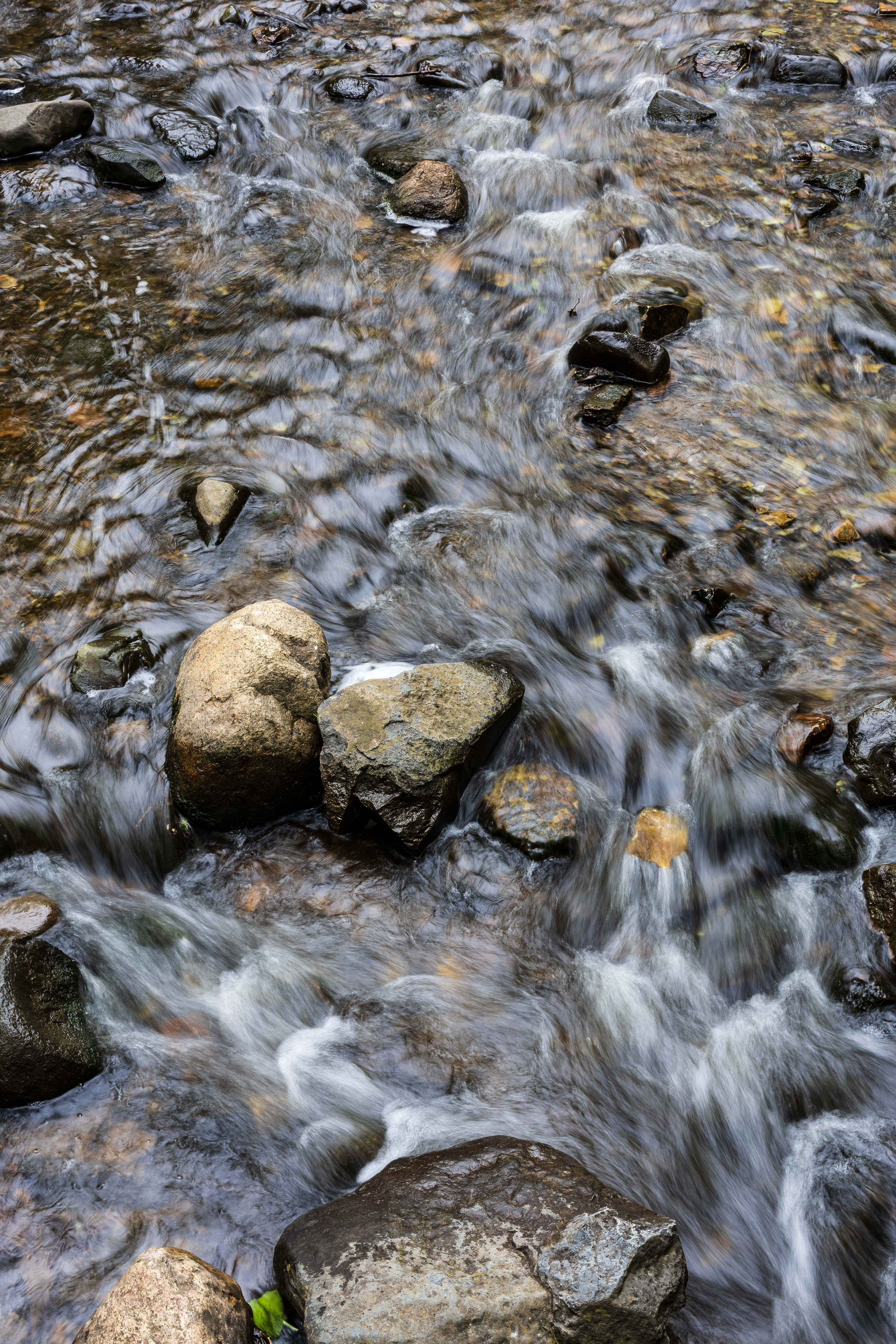 05.27.25 // Wilke Glen // Osceola, WI