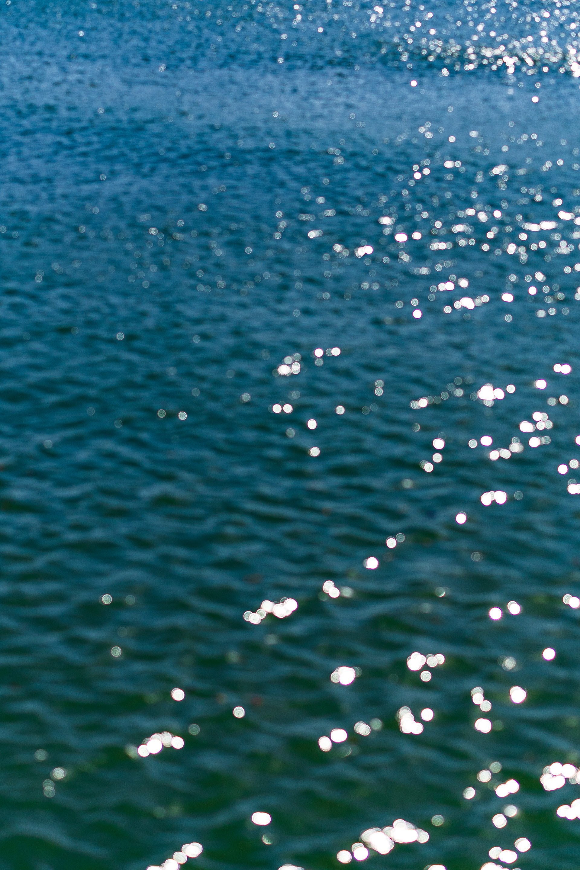 10.26.24 // Evanston, IL // Lake Michigan