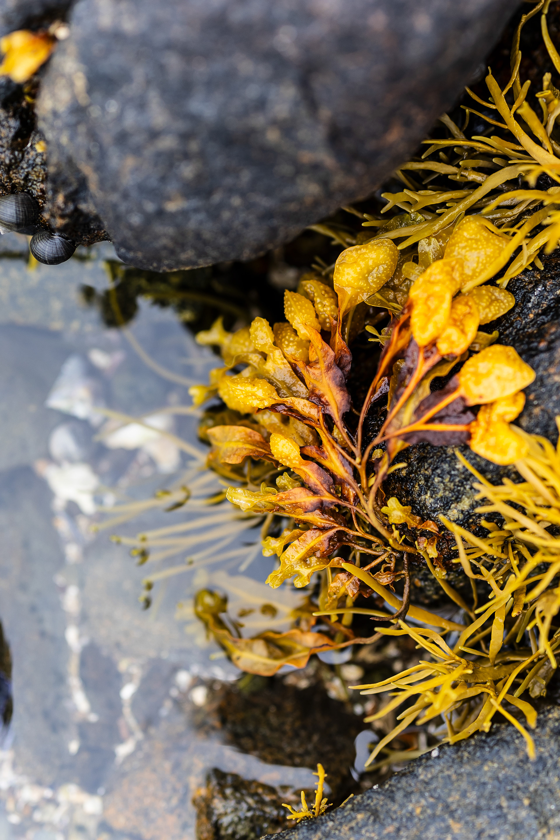 09.20.24 // McGee Island, ME