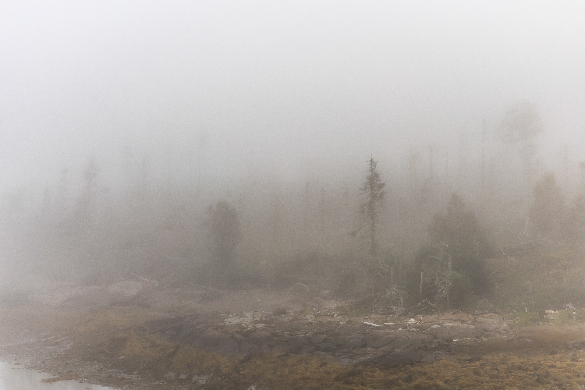 09.18.24 // Barter Island, ME