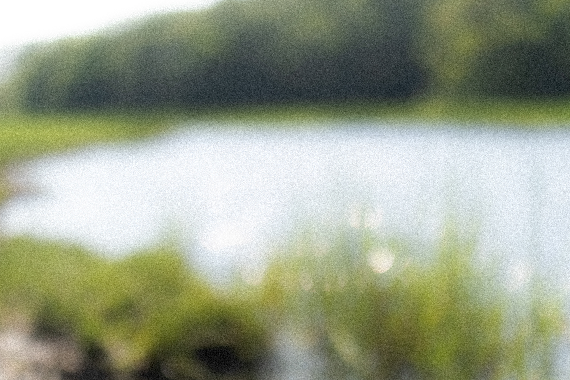 07.21.24 // Harwich, MA // salt marsh