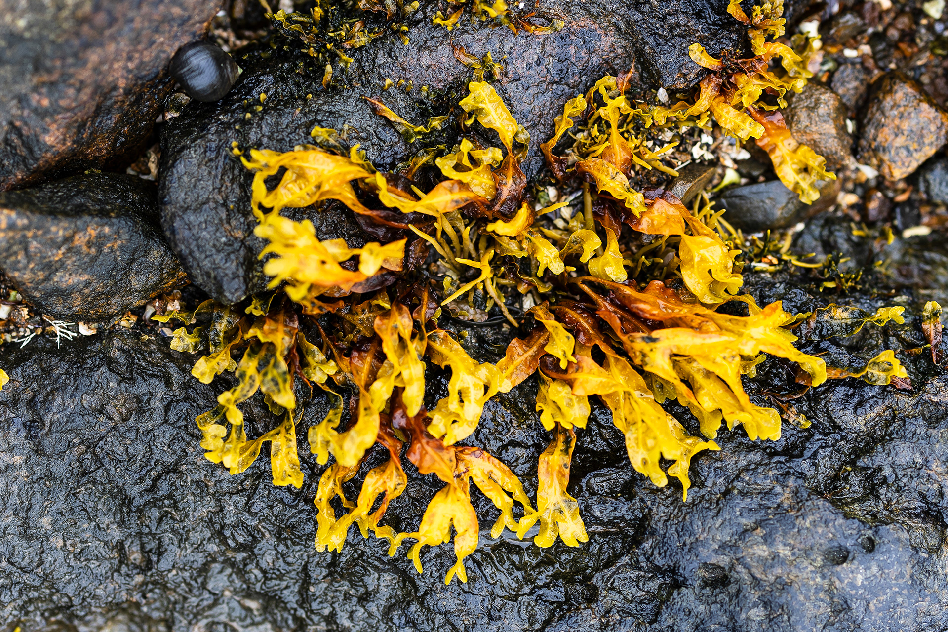 09.20.24 // McGee Island, ME