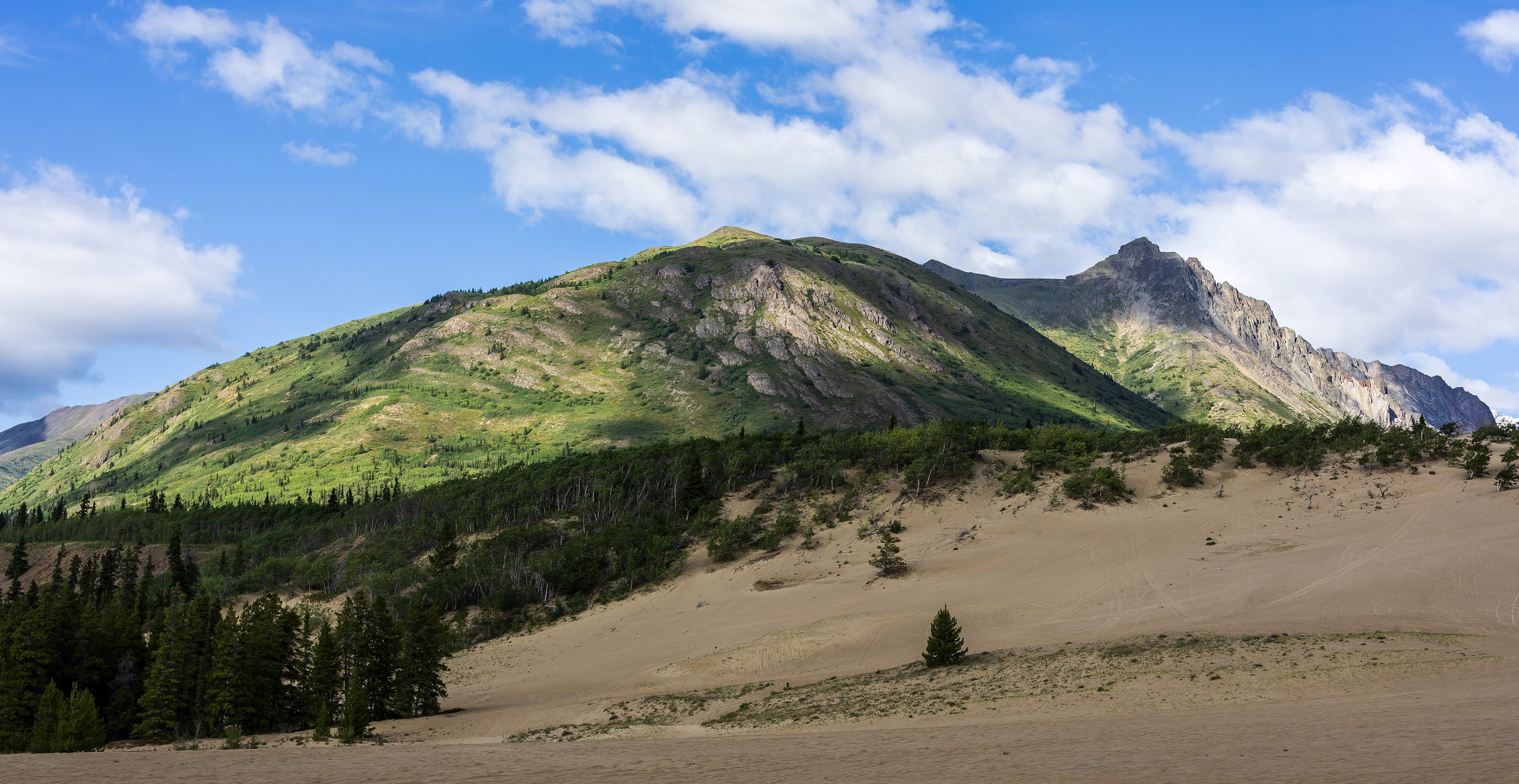 Carcross Desert, YT