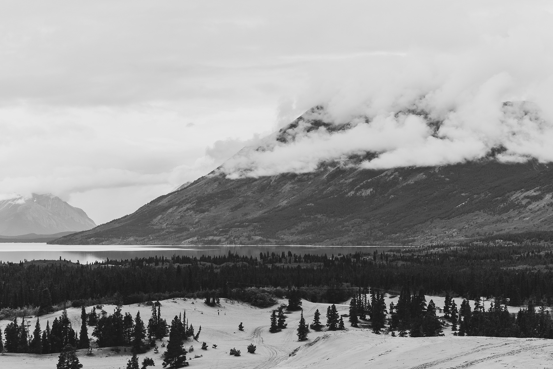 Carcross Desert, YT