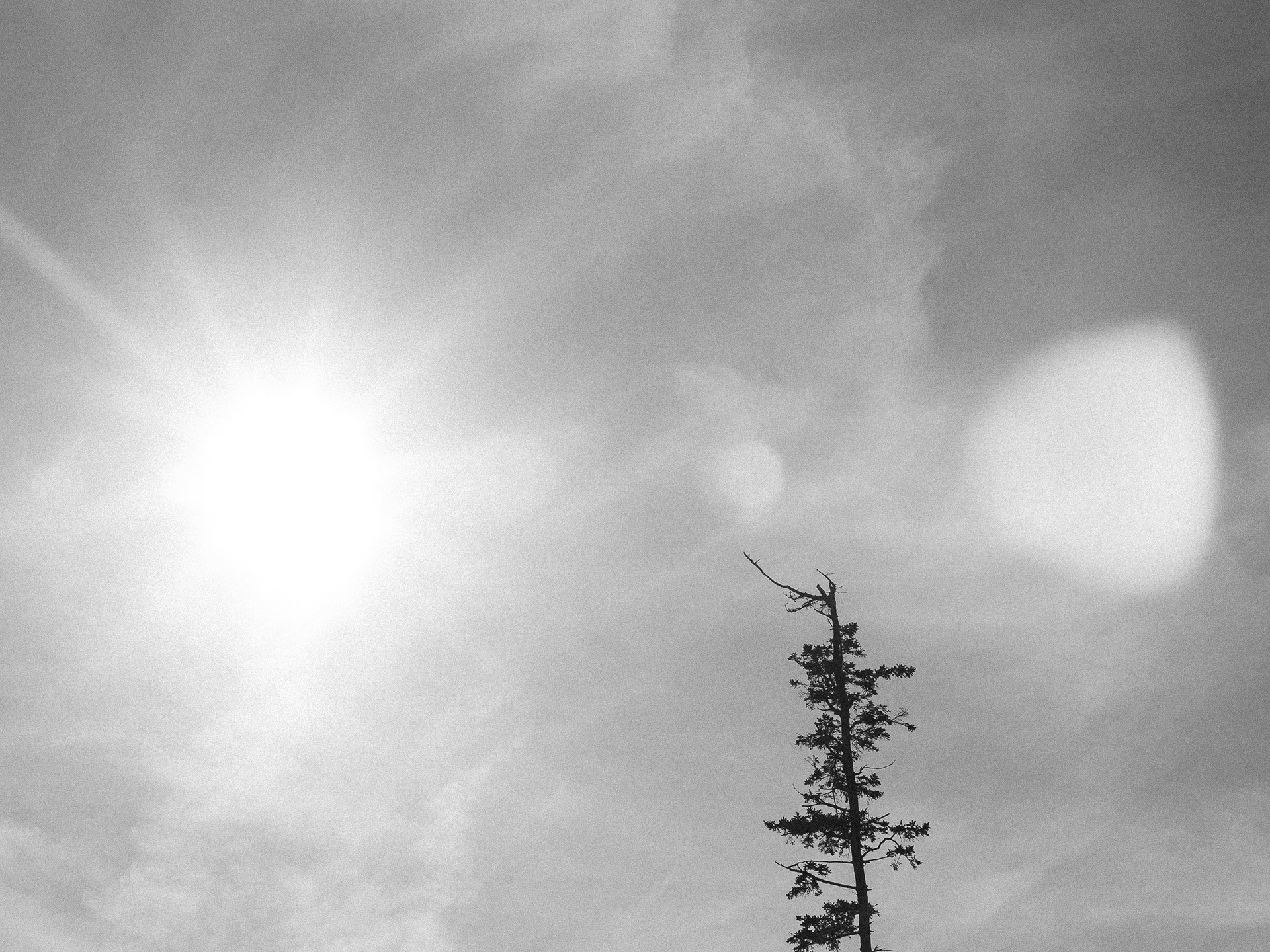 09.17.24 // McGee Island, ME