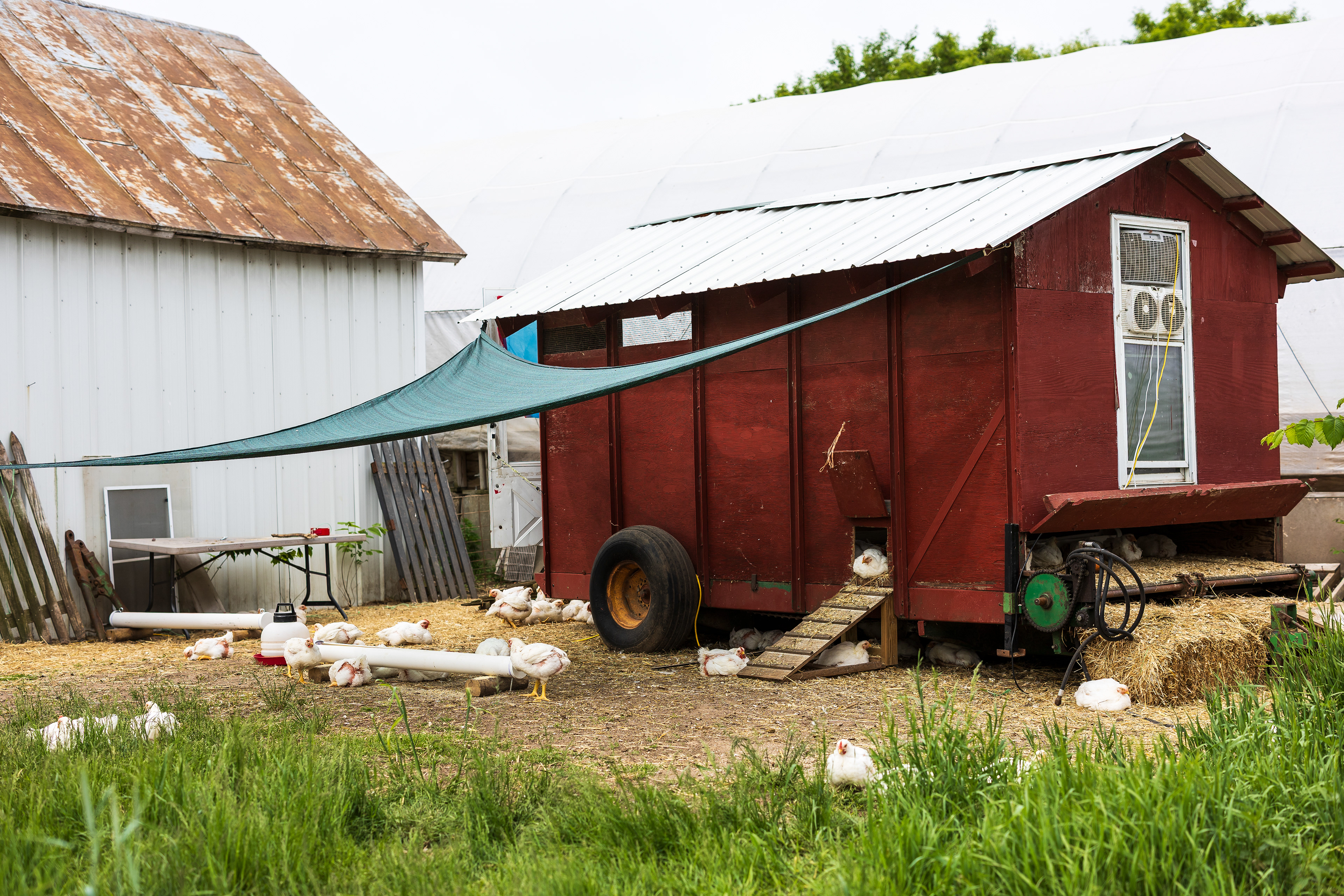 Community Homestead, Osceola, WI