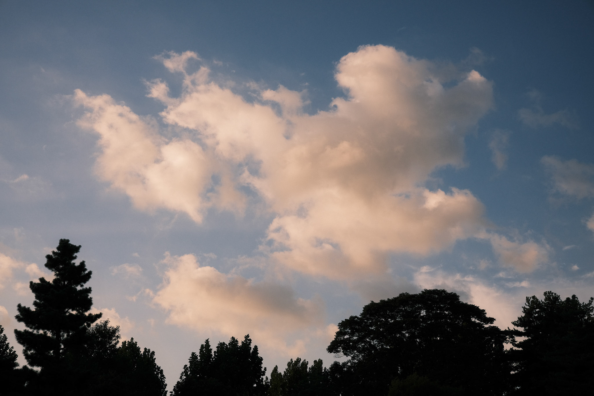 여름과 가을 사이