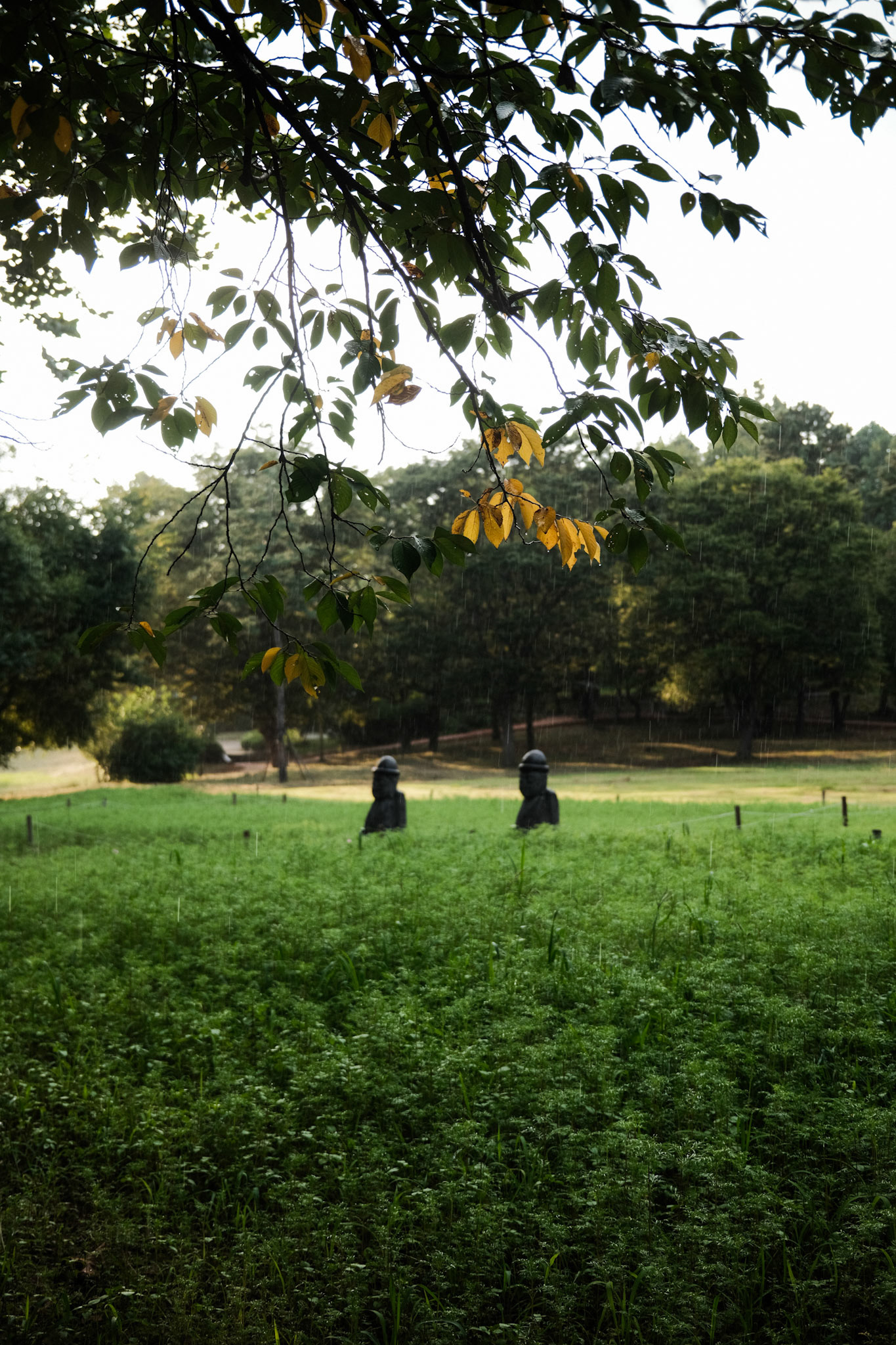 호랑이 장가가던 날