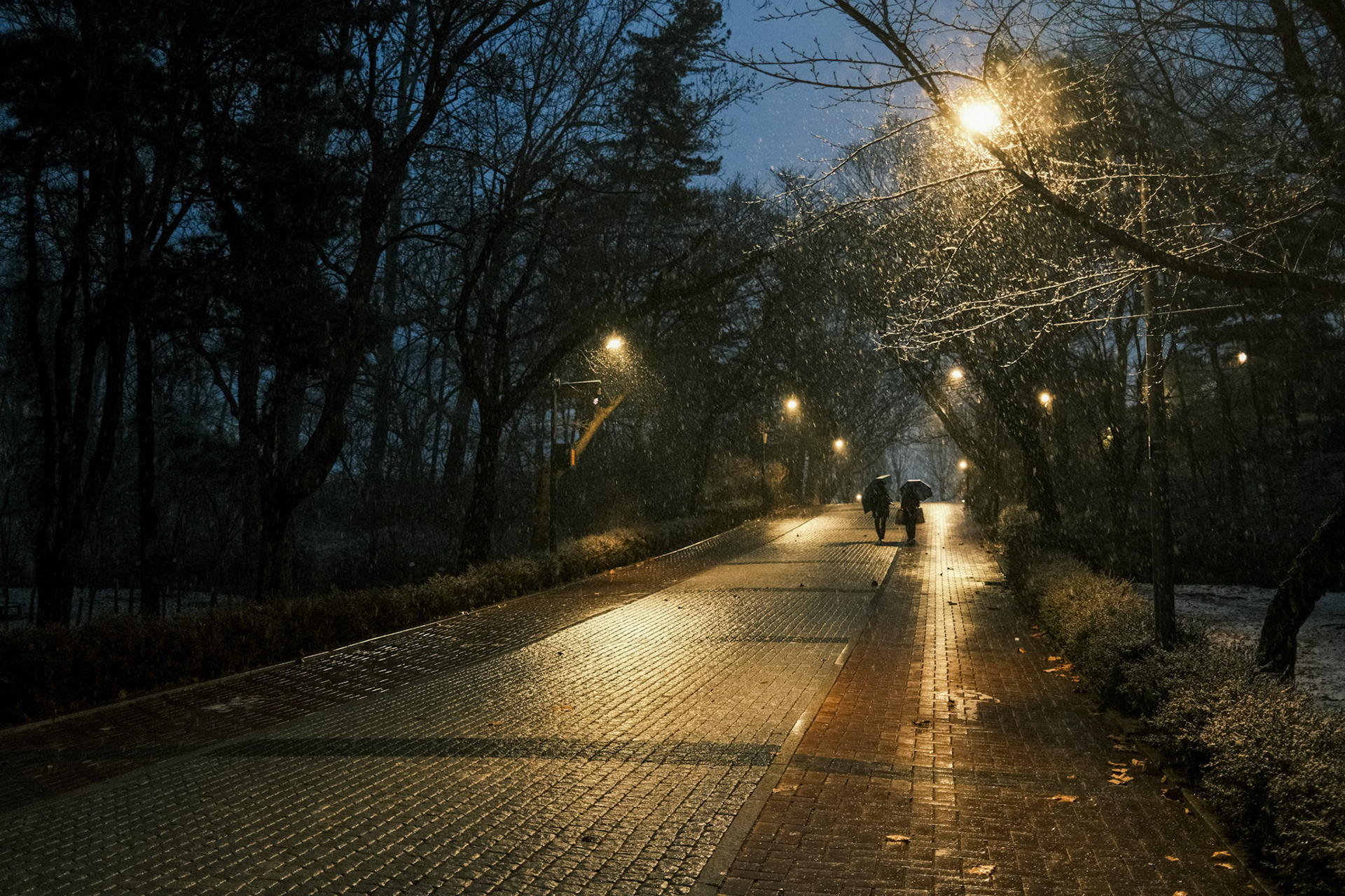싸라기눈