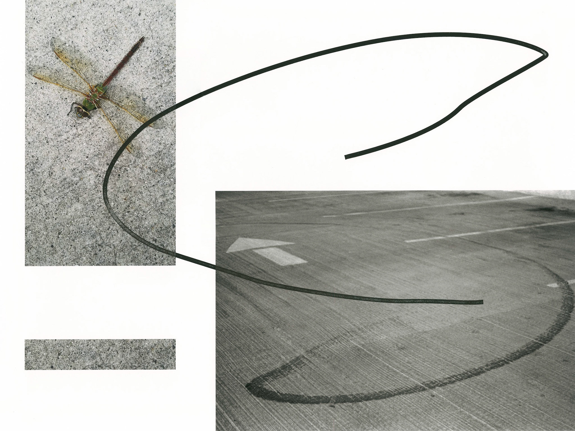 Construct No. M17-9-28 (How to Die with Dignity); Pigment print and ink drawing, 18 x 24 inches; © 2019