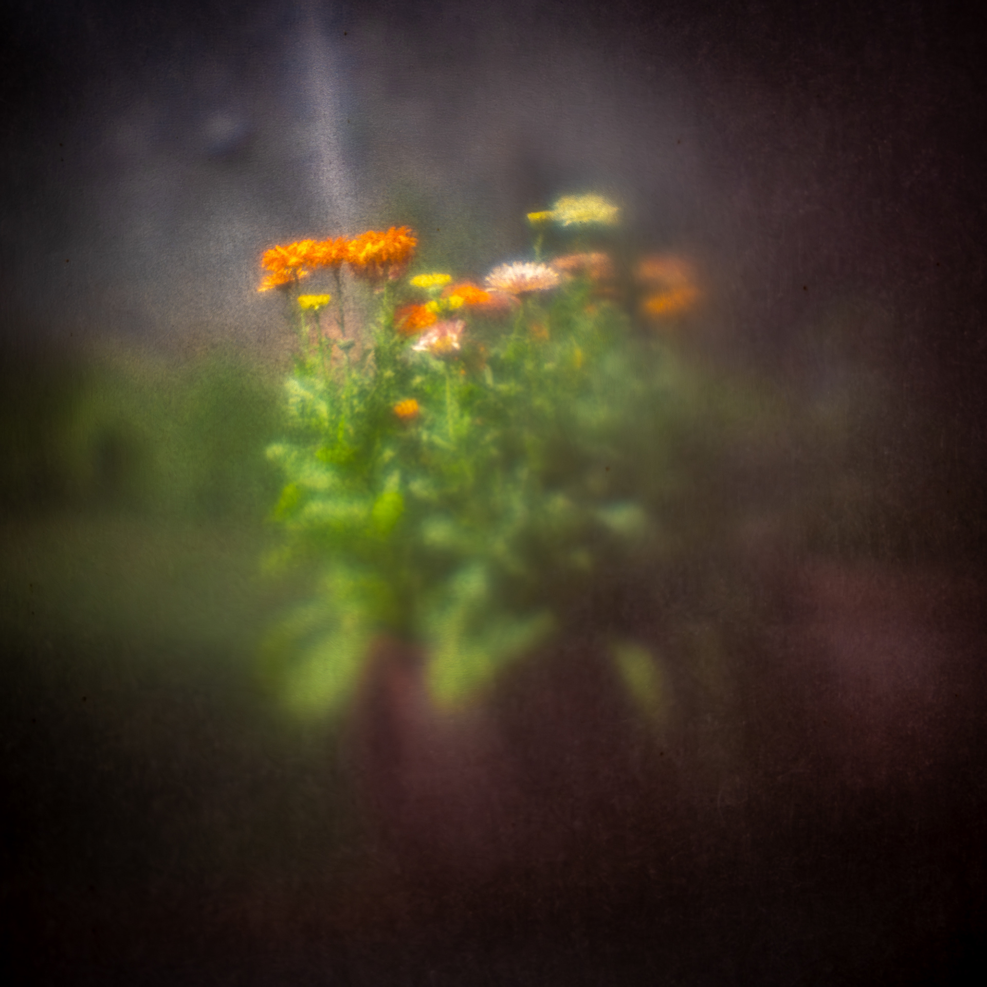 Camera Obscura