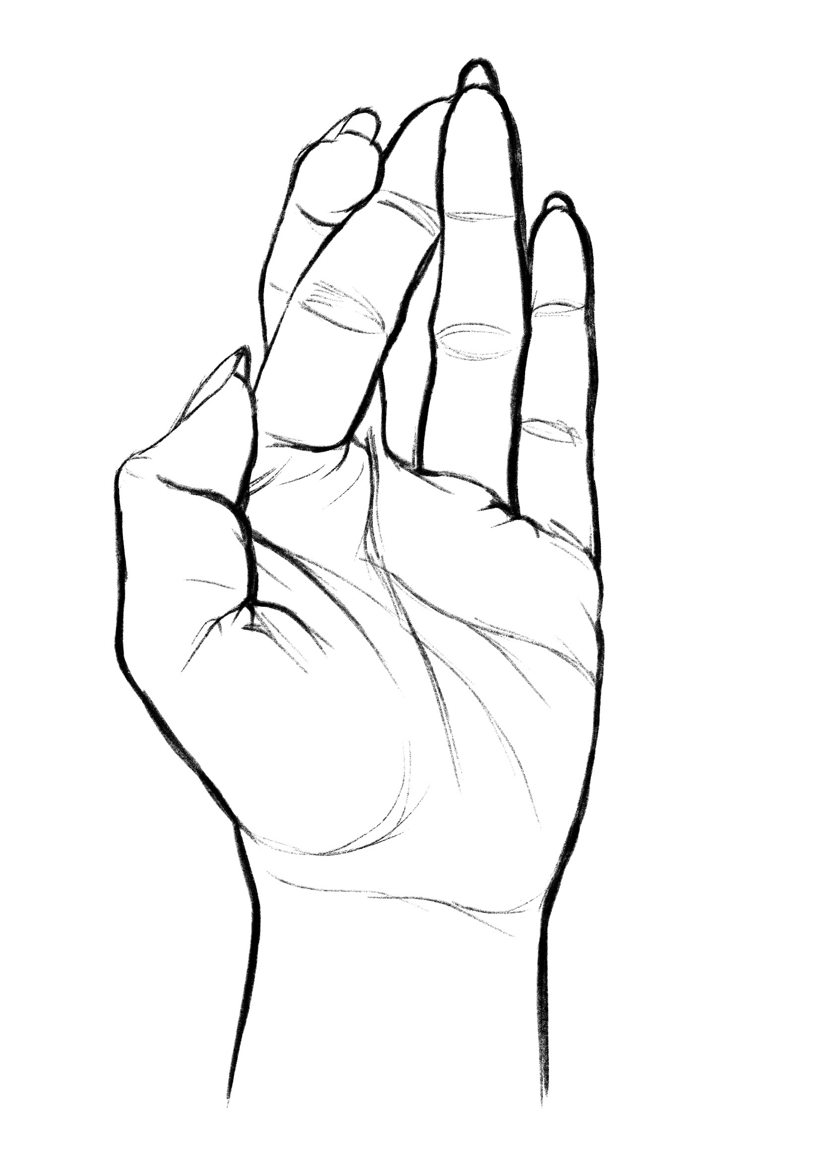 Hand study