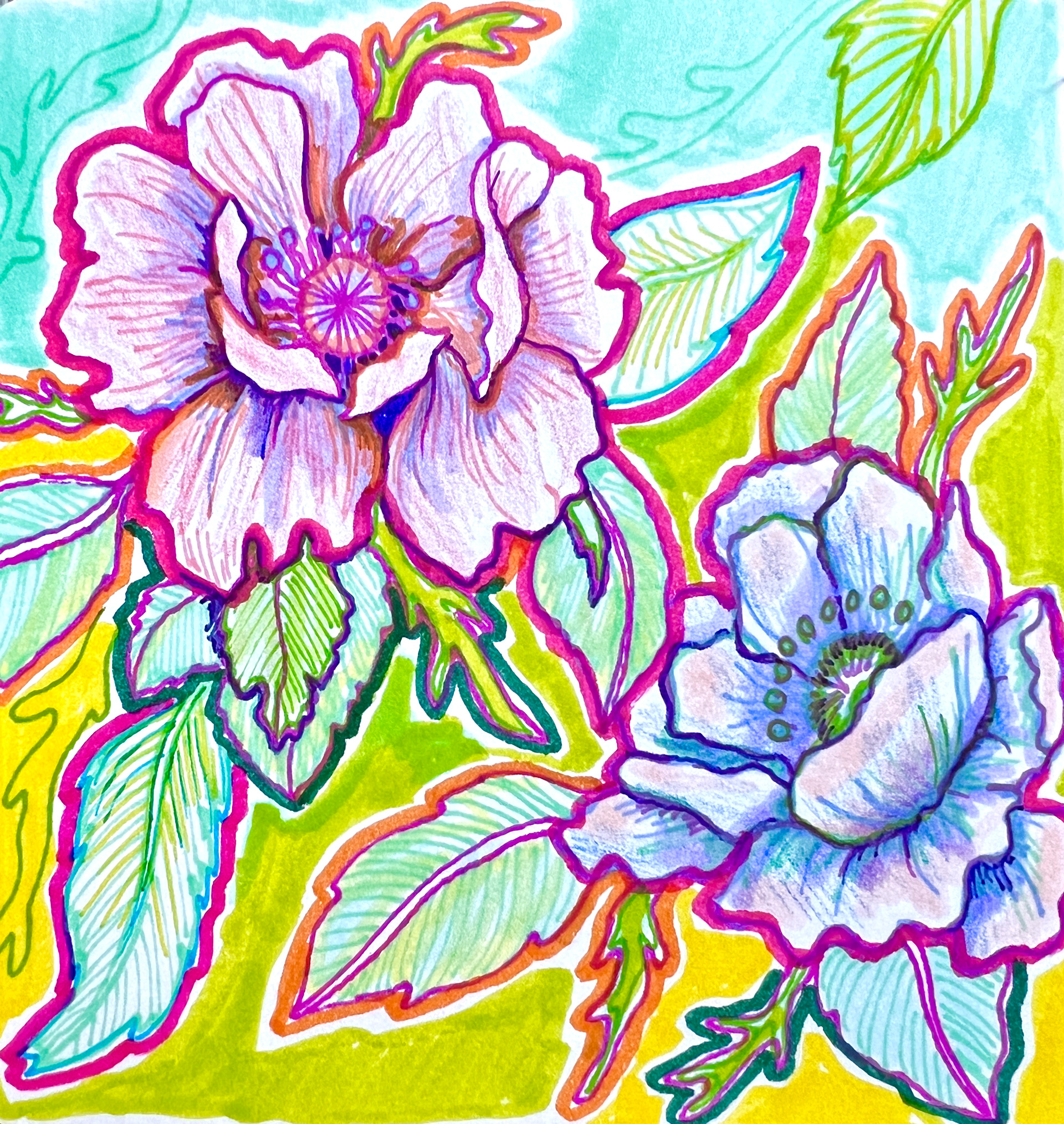 Flowers using Sharpie pens and Tombow markers