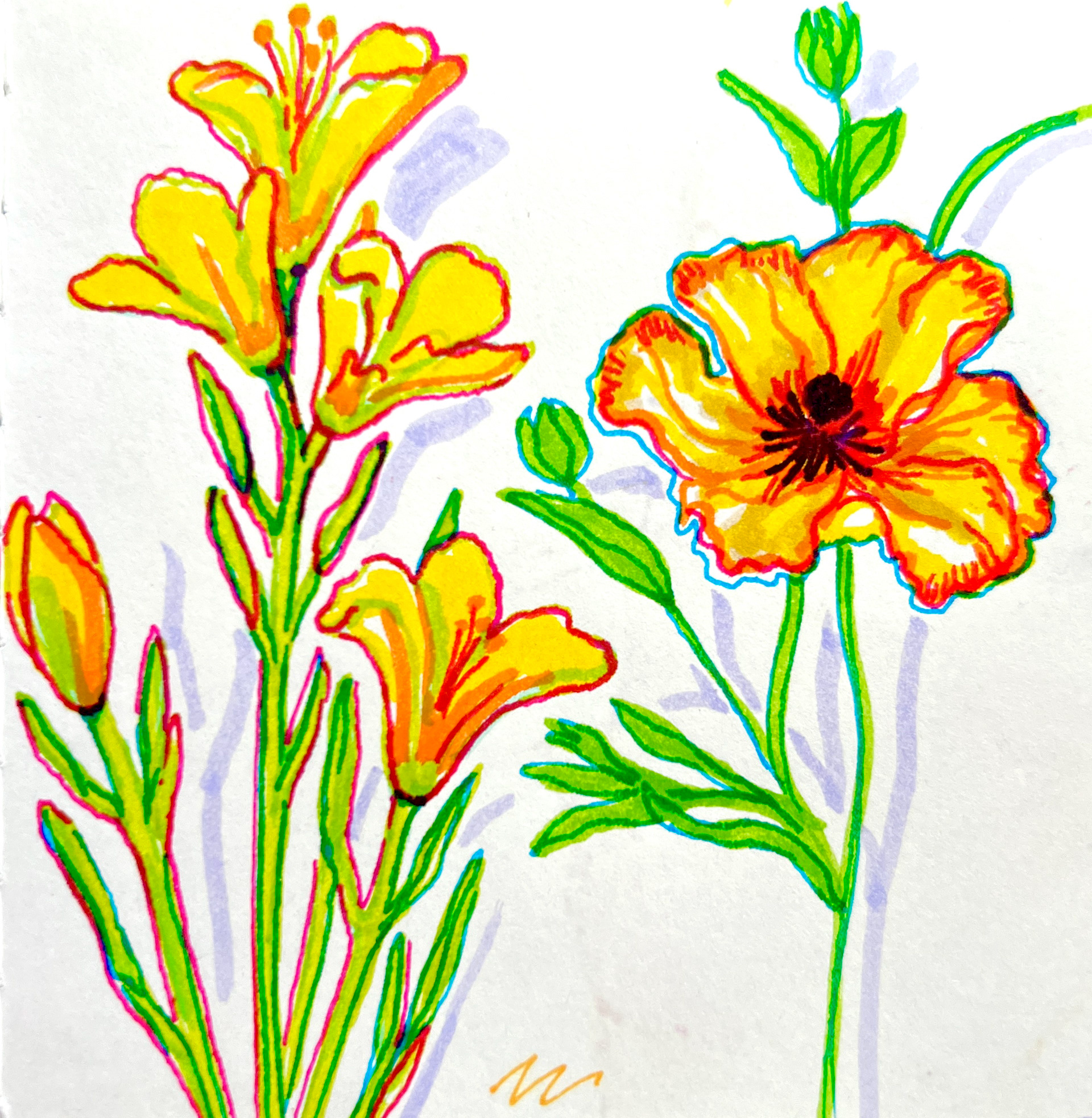 Flowers using Tombow markers