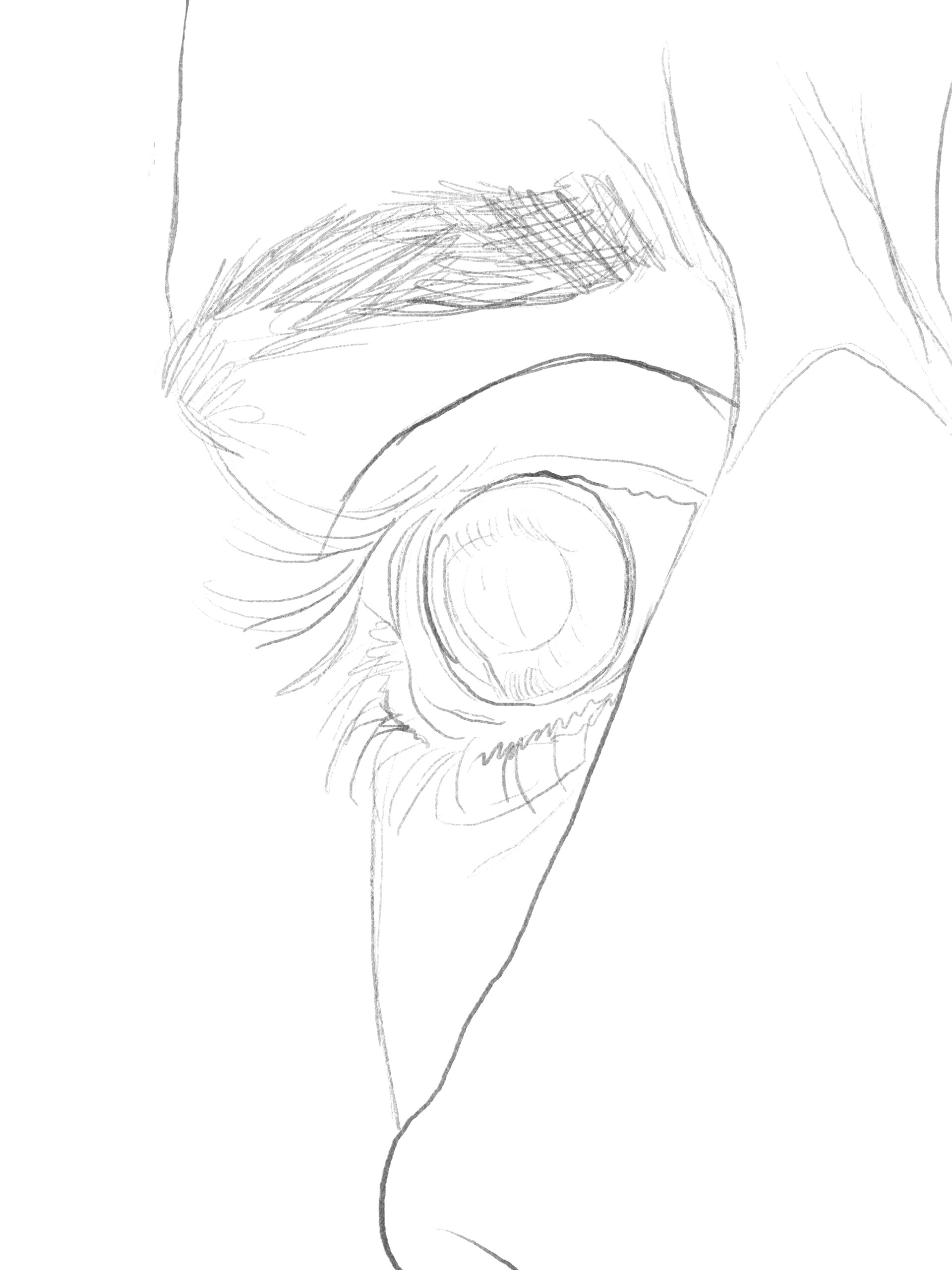 Line Art