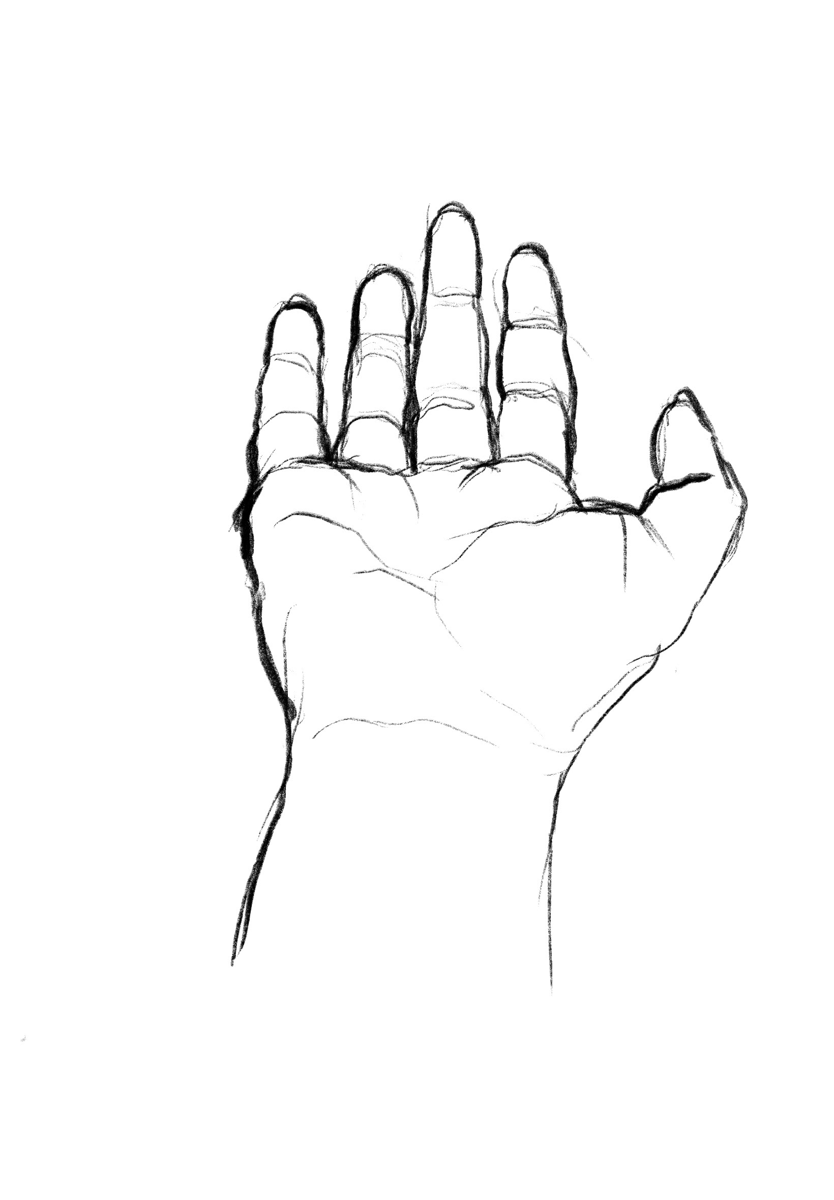 Hand study (drawing with left hand)