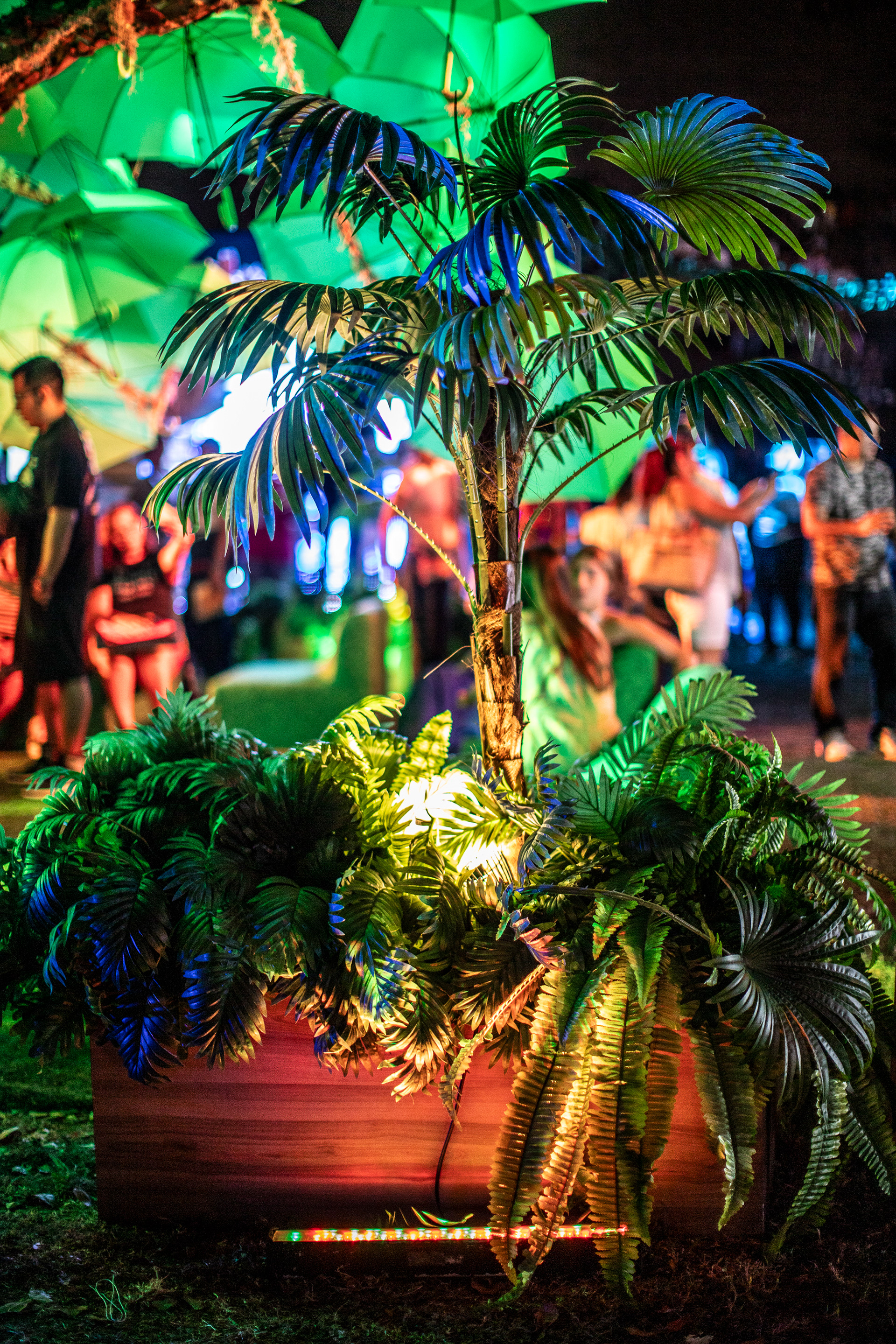 Casa Espacio en el Canal de Panamá: una celebración de cultura, identidad y propósito institucional. Fotografía editorial que documenta el encuentro desde el espacio, la gente y el mensaje.
