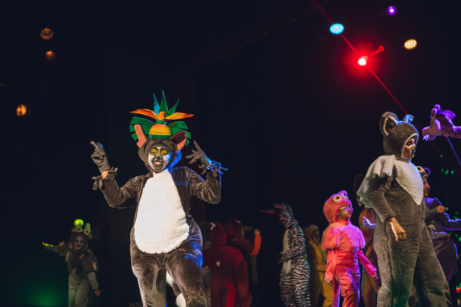 Momentos del musical Madagascar presentado por Smart Academy en el Teatro Ascanio Arosemena. Una cobertura completa de luces, emociones y talento en escena. Ideal para portafolios escolares, redes y memorias familiares.