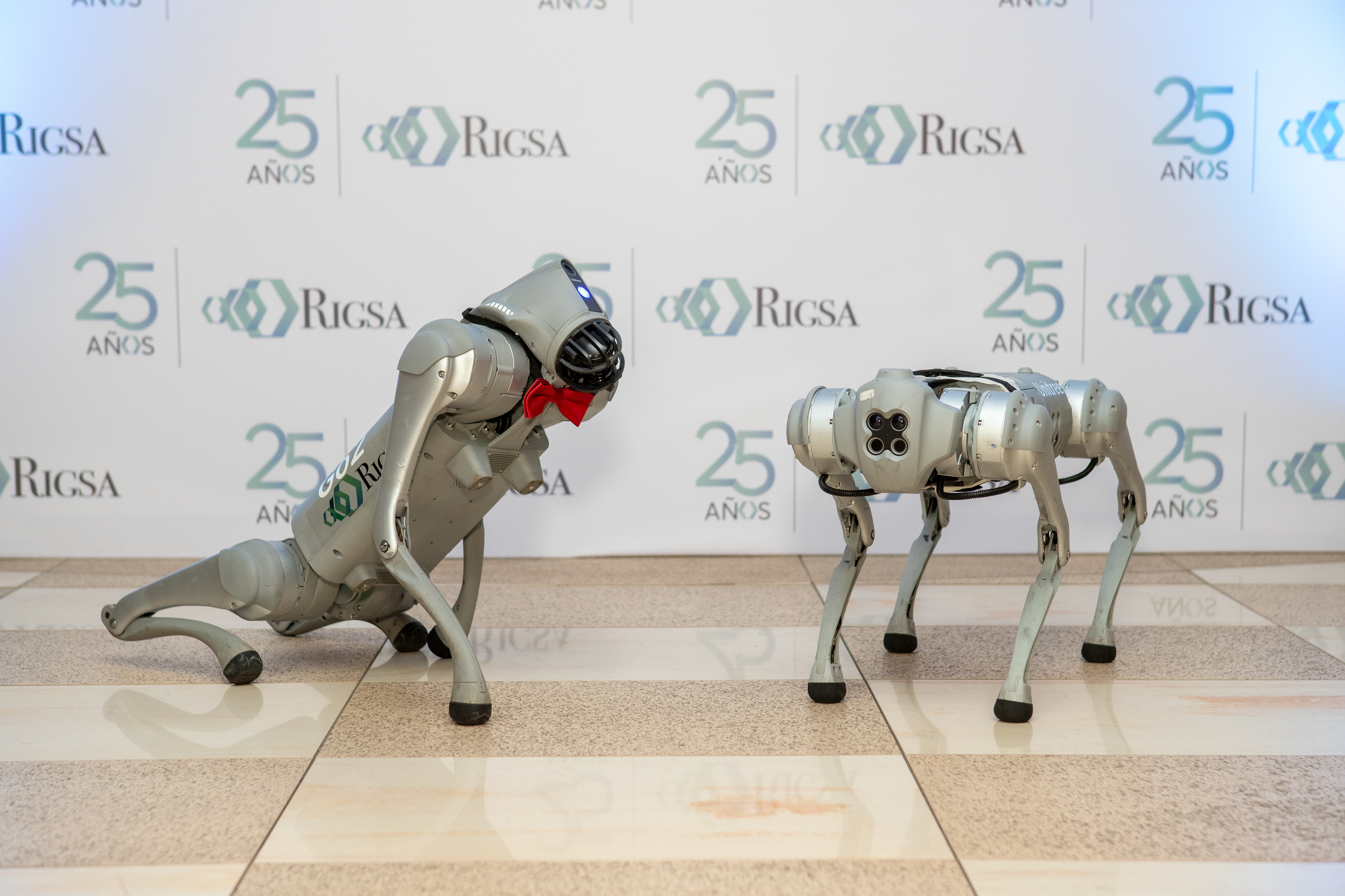 Celebración del 25 aniversario de Rigsa en el icónico Club Unión. Una noche de logros, reconocimientos y emociones, capturada con estilo y atención al detalle para memorias empresariales y comunicación institucional.