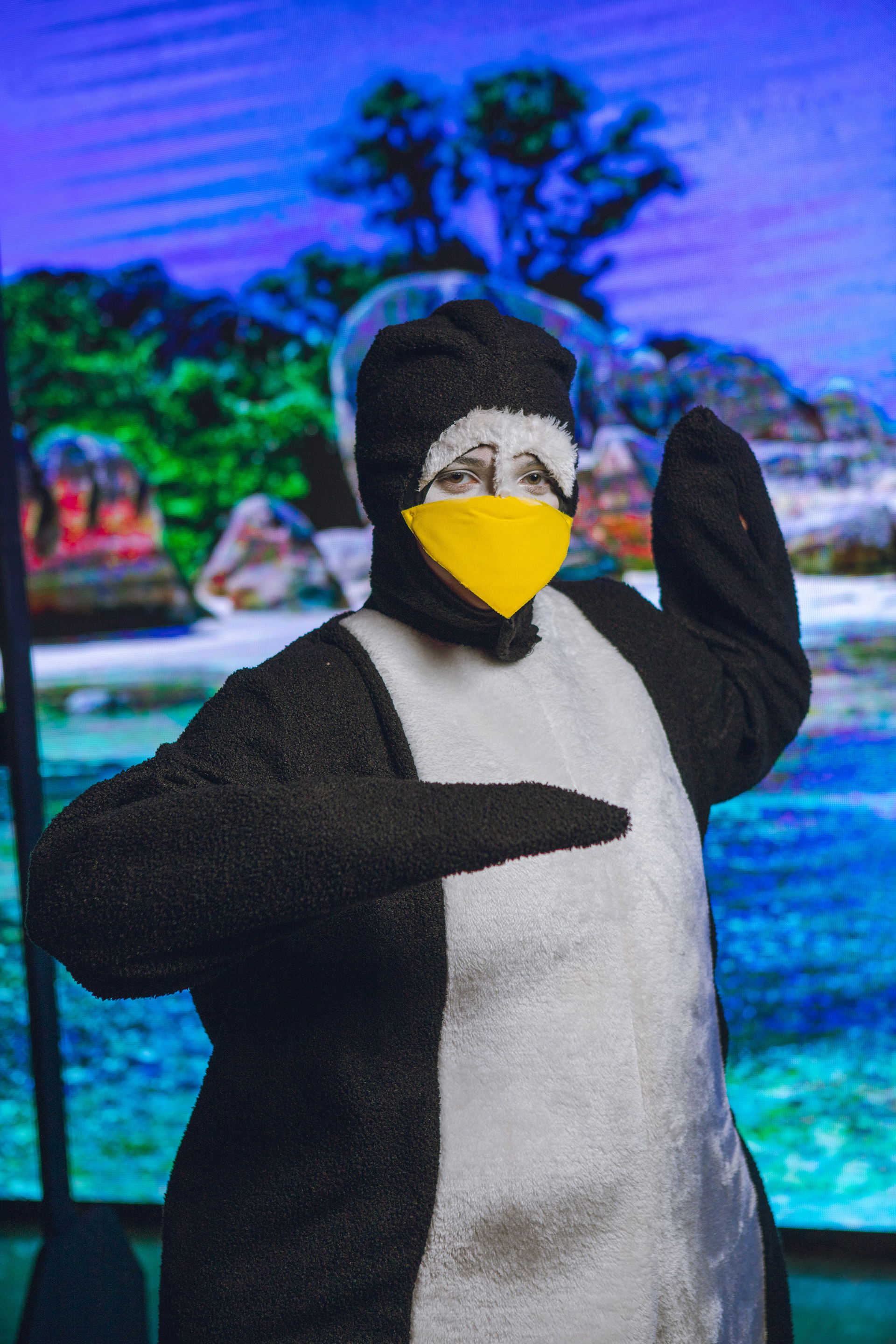 Momentos del musical Madagascar presentado por Smart Academy en el Teatro Ascanio Arosemena. Una cobertura completa de luces, emociones y talento en escena. Ideal para portafolios escolares, redes y memorias familiares.