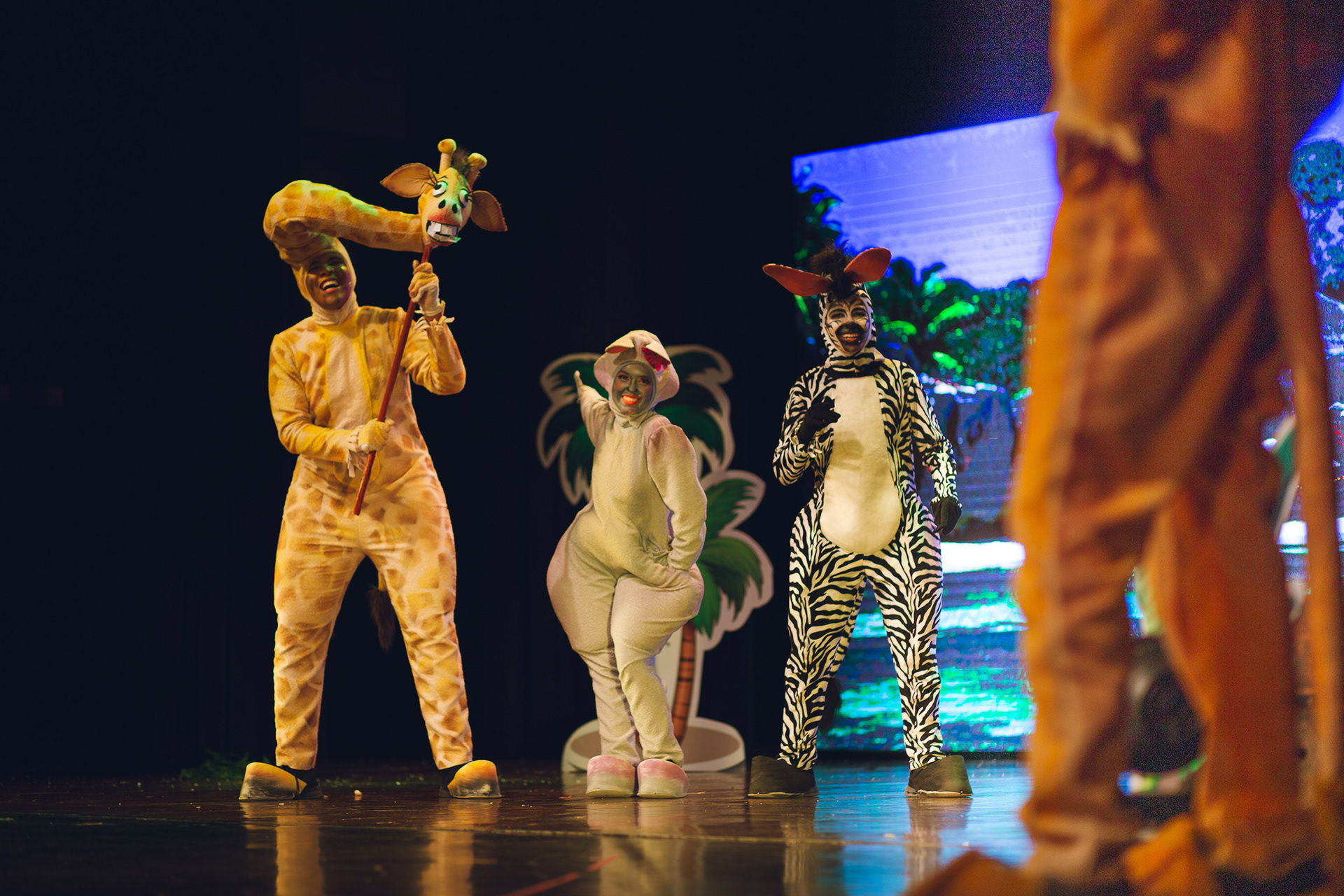 Momentos del musical Madagascar presentado por Smart Academy en el Teatro Ascanio Arosemena. Una cobertura completa de luces, emociones y talento en escena. Ideal para portafolios escolares, redes y memorias familiares.