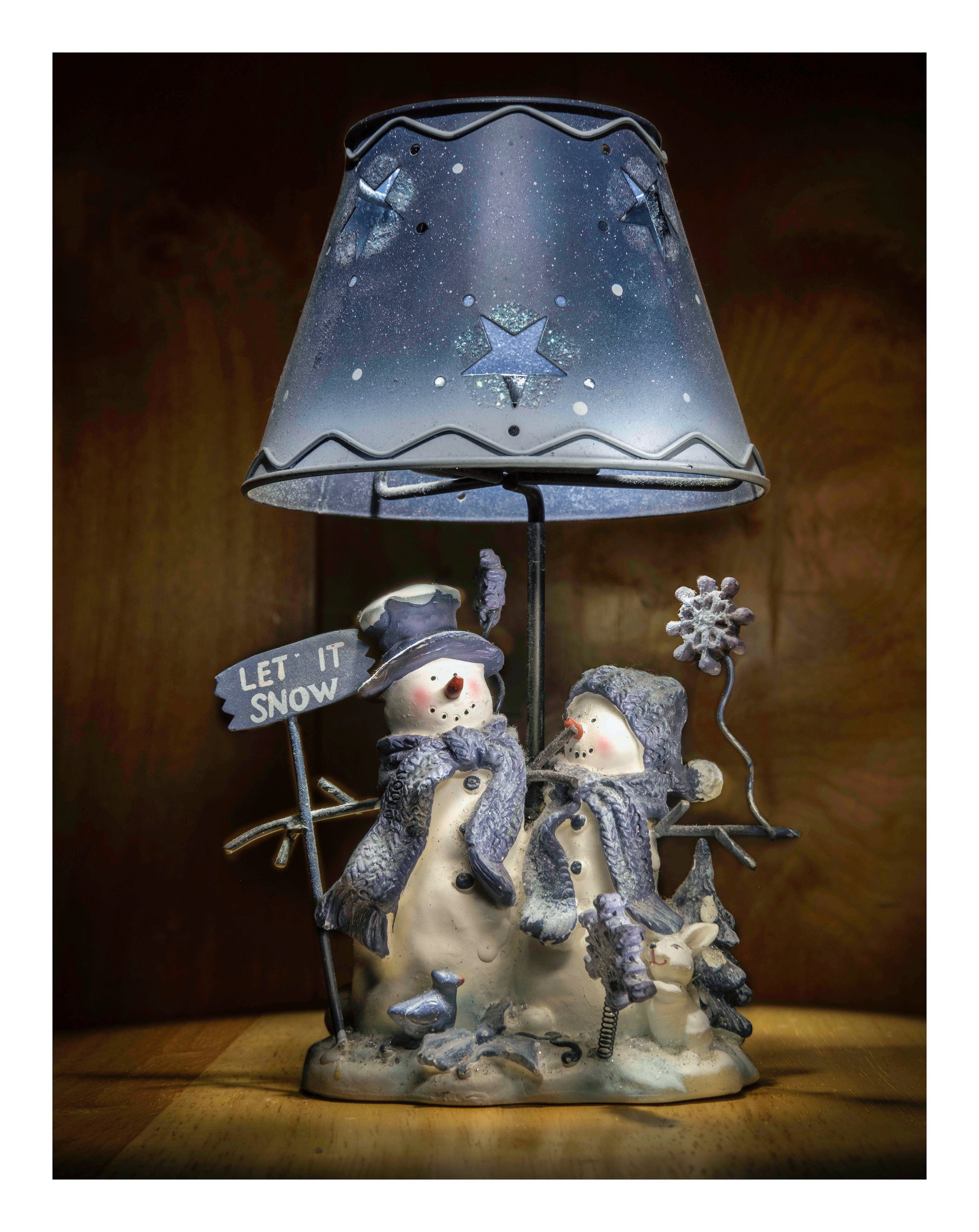 Christmas decoration ©2023 Brent Miller Photography