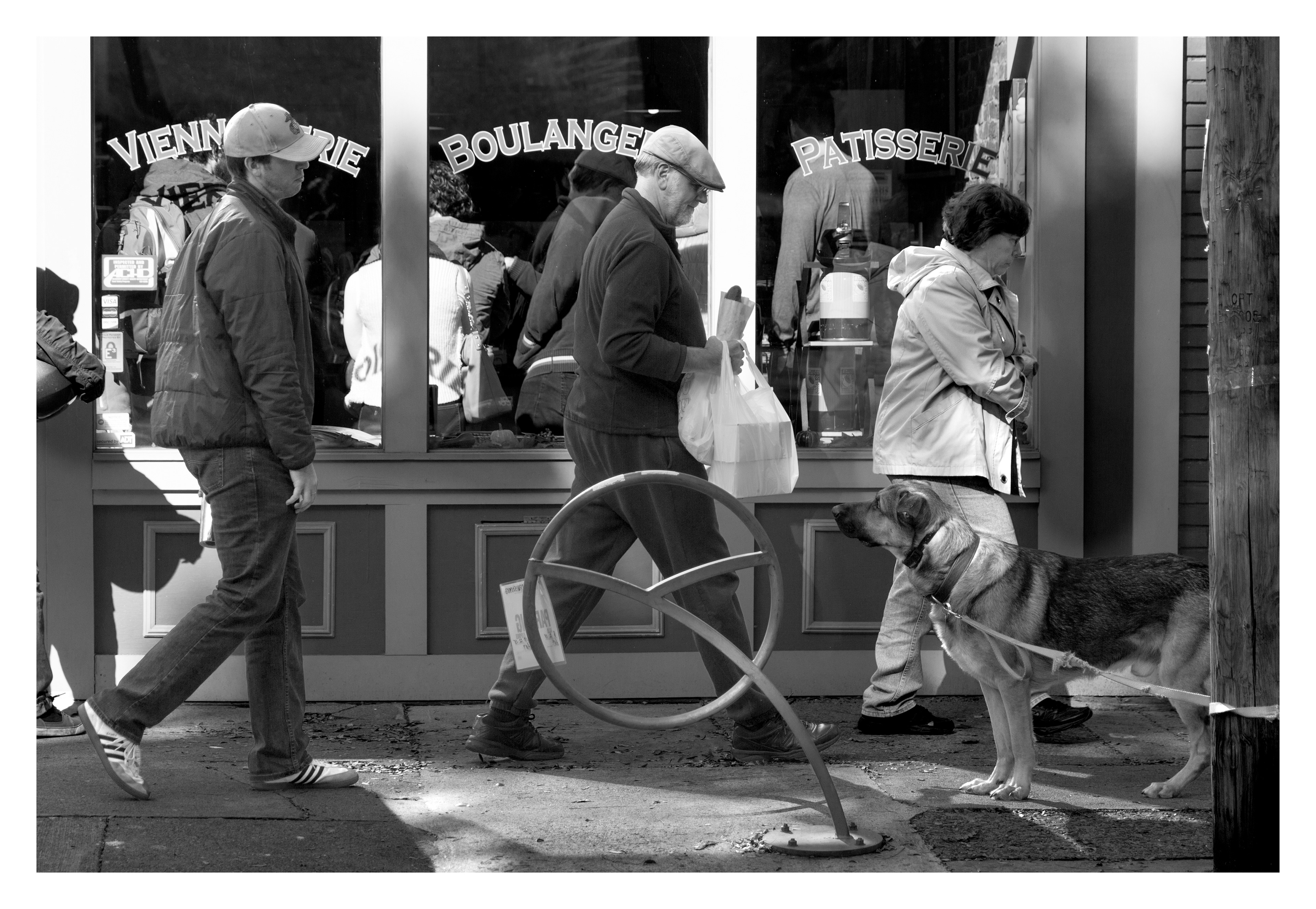 Hungry dog outside pastry shop in Lawrenceville, PA ©2023 Brent Miller Photography