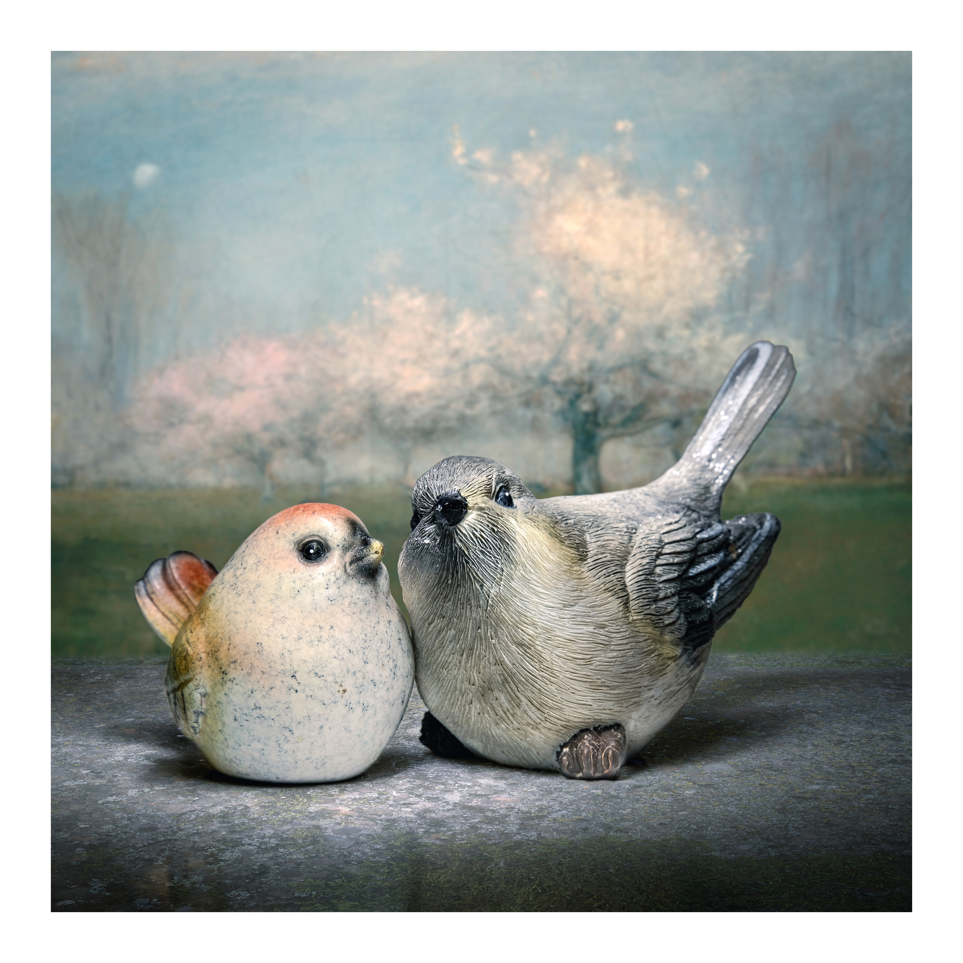 Two birds ©2023 Brent Miller Photography