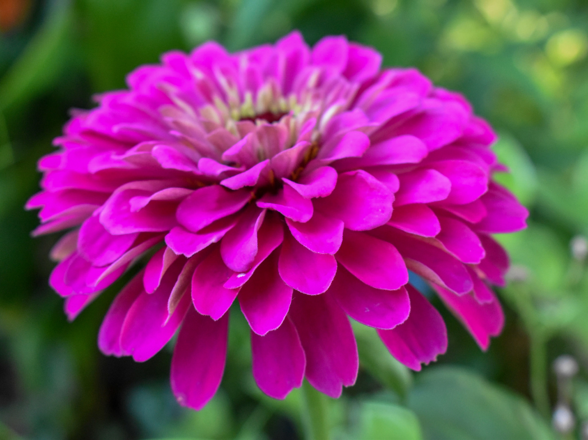 Pretty in Pink
