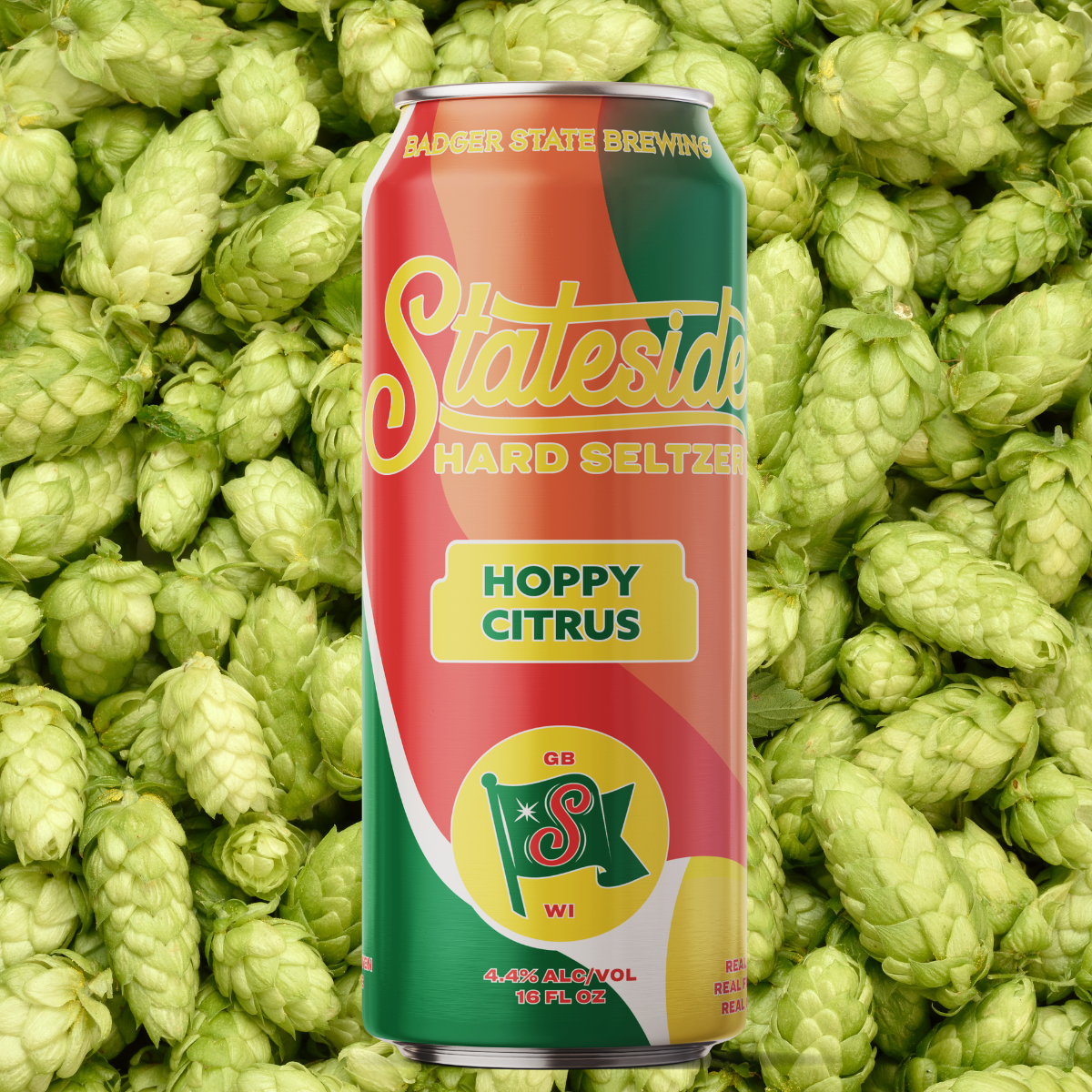 Hoppy Citrus Stateside Hard Seltzer