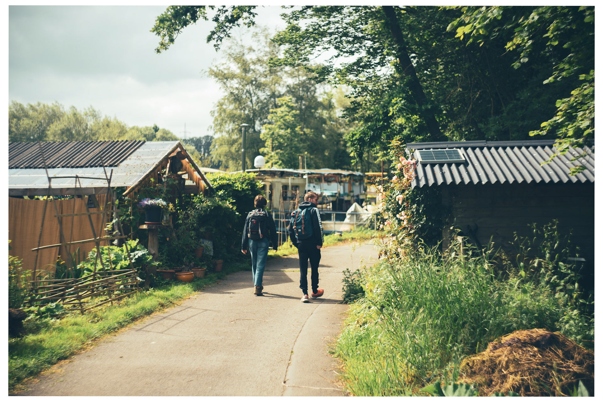 Helios 44m-4 58mm iso 125 1/640s