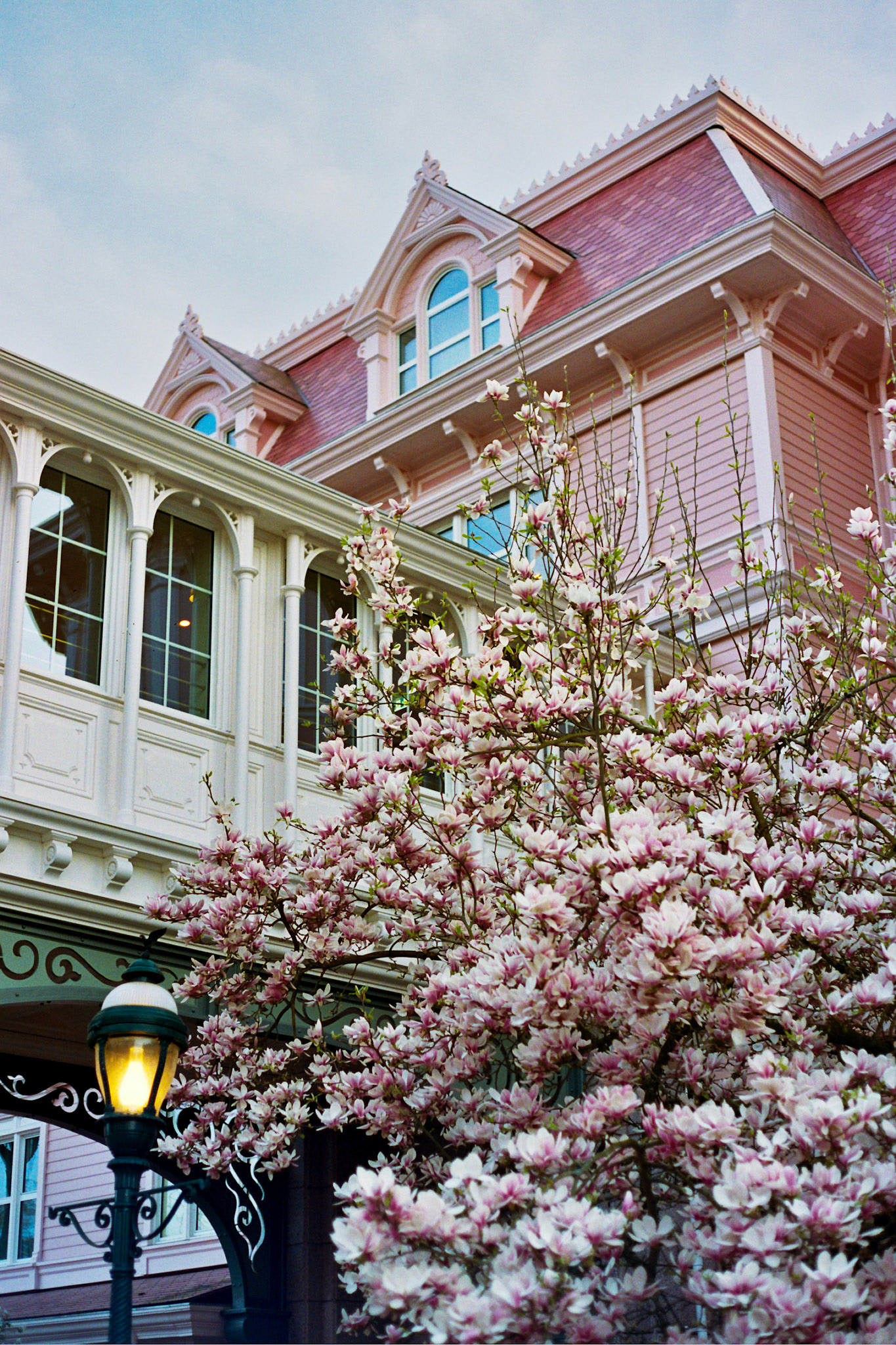 Autosave-File vom d-lab2/3 der AgfaPhoto GmbH