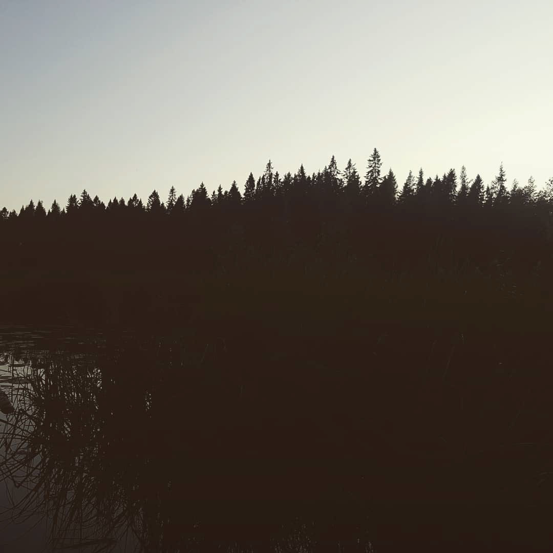 Finland Residency 2019