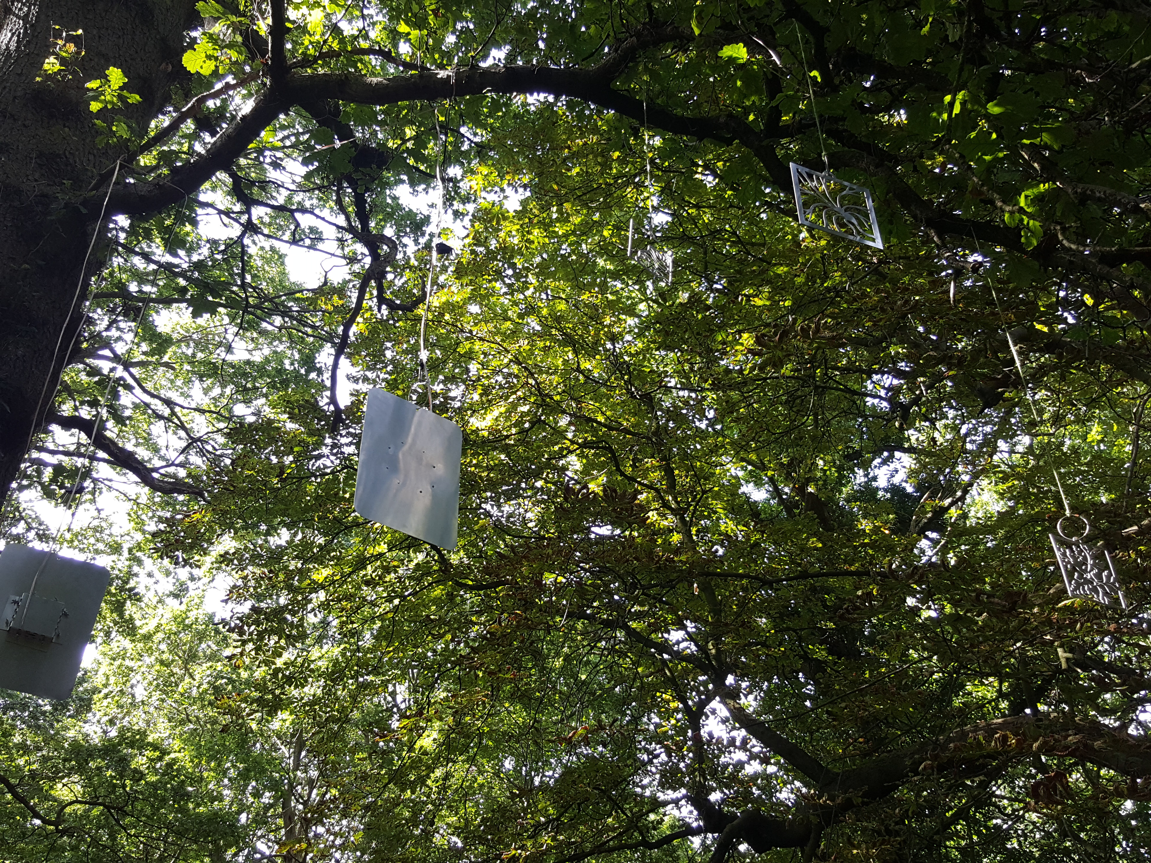 Sounding Surfaces Sound Installation 2019