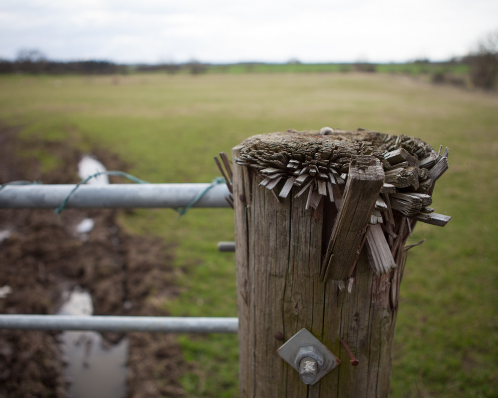 Greenbelt project, Northumberland