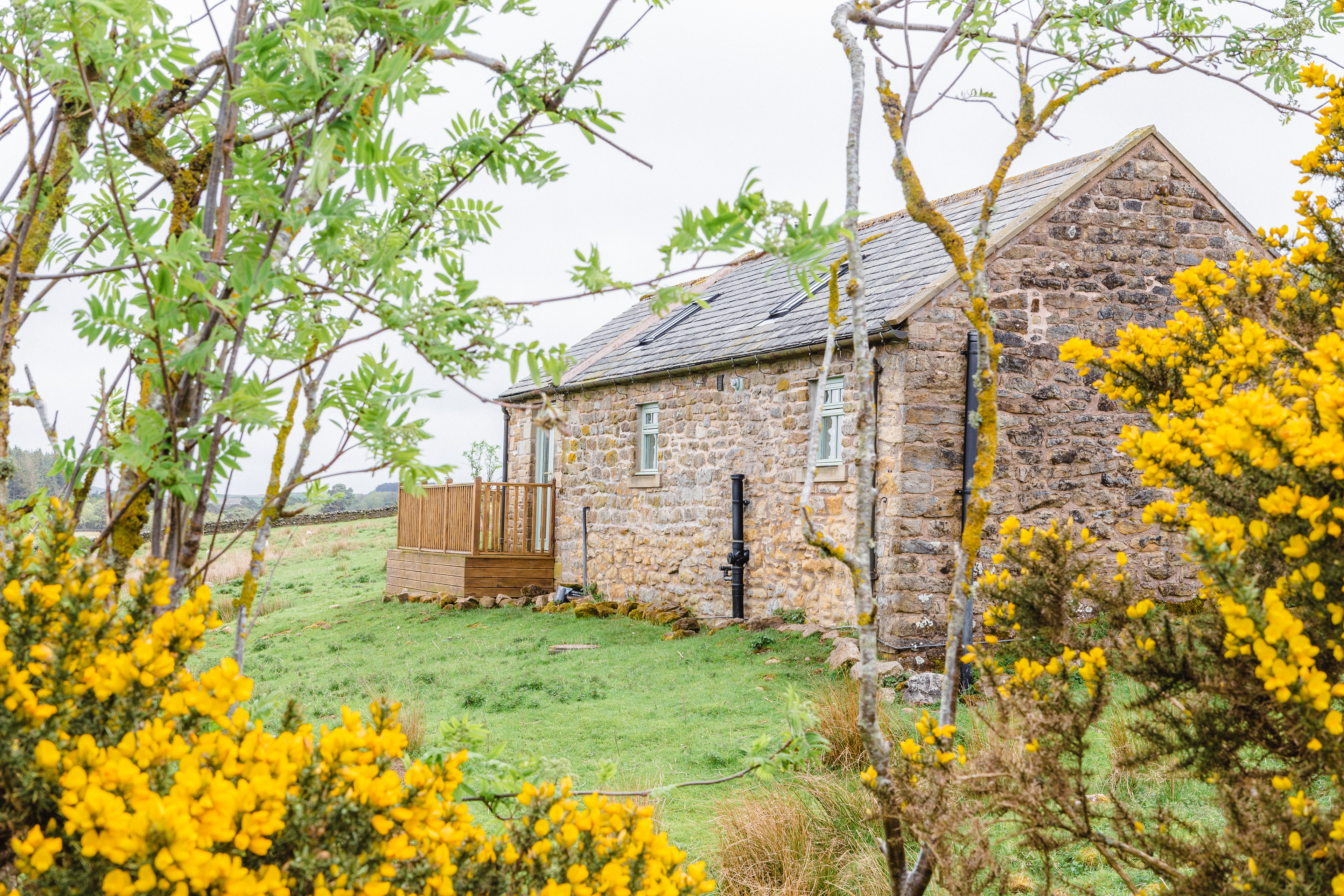 Holiday accommodation, Northumberland