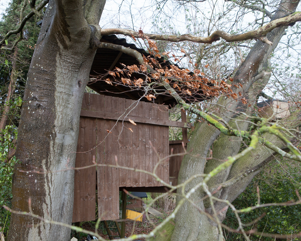 Greenbelt project, Northumberland
