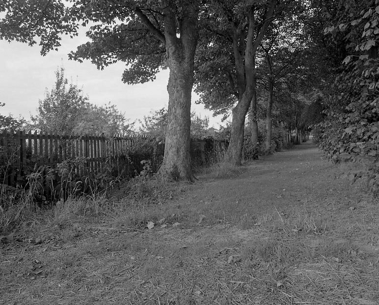 Little Moor project, Newcastle