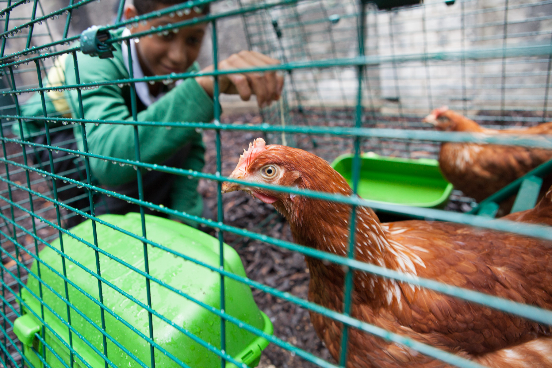 independent SEND school, south London