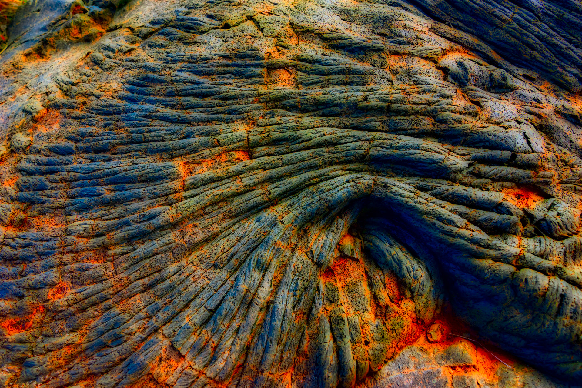 Ancient Tendrils 2